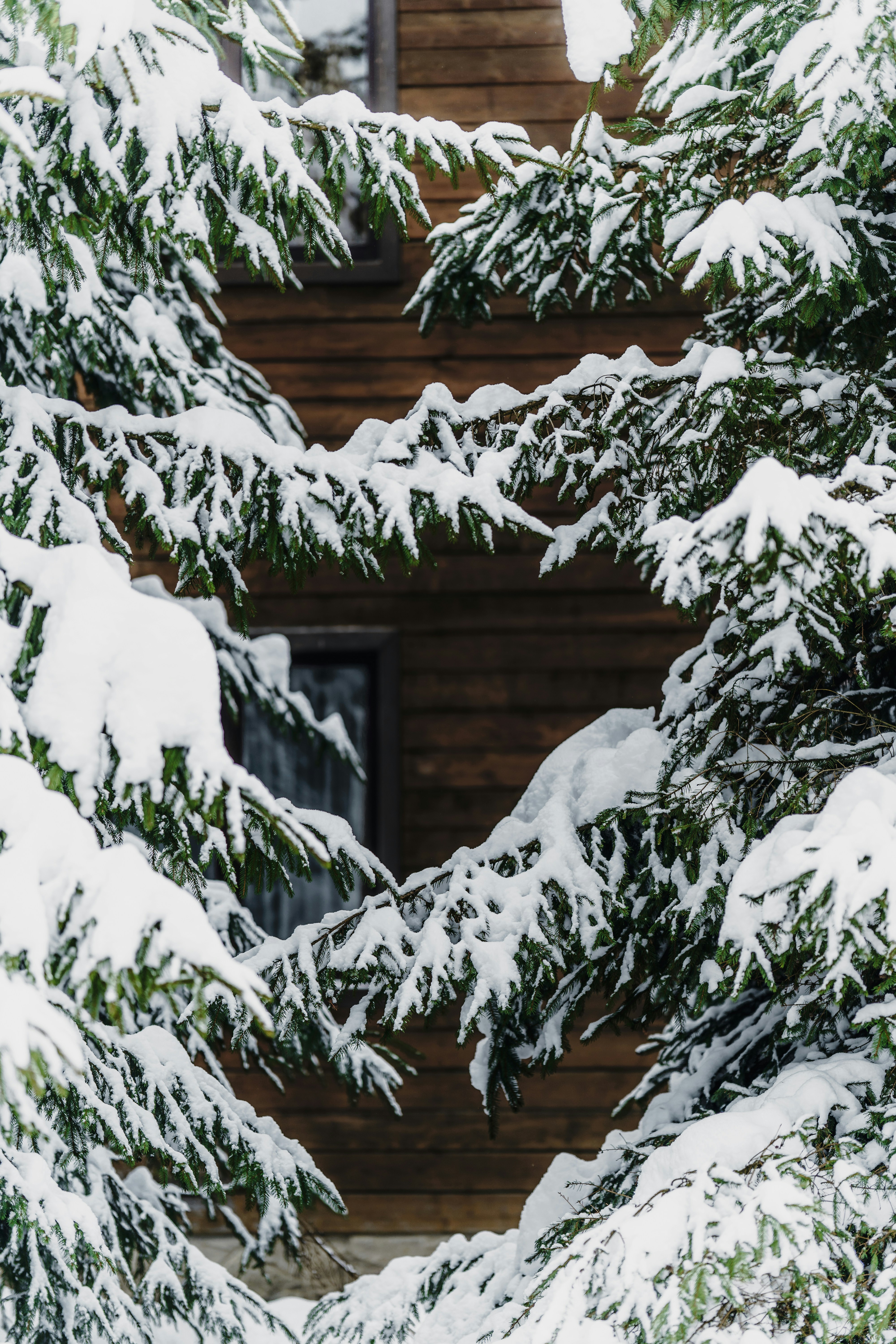 Photo by maksym_tymchyk