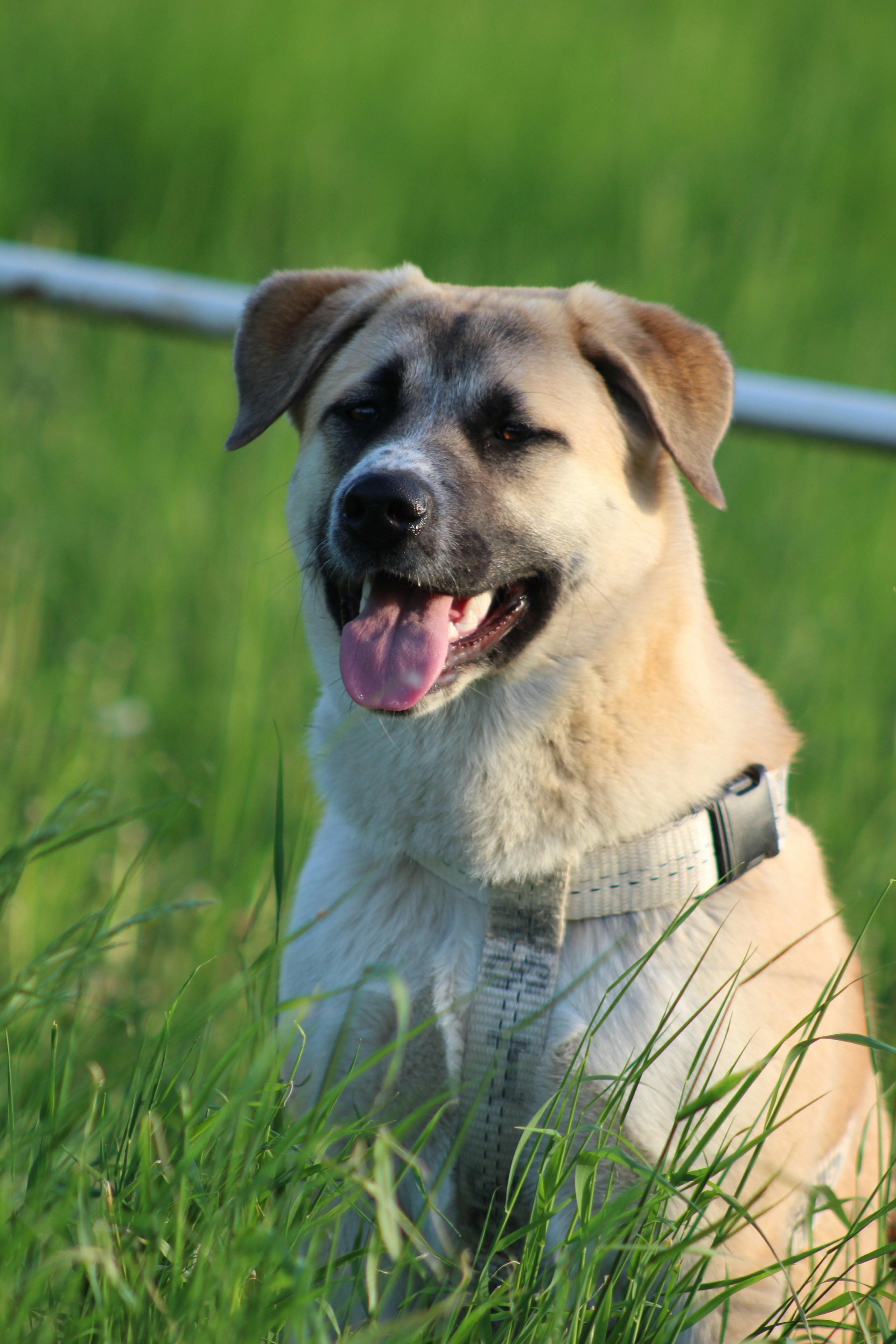 Photo by marjorylucabaxter