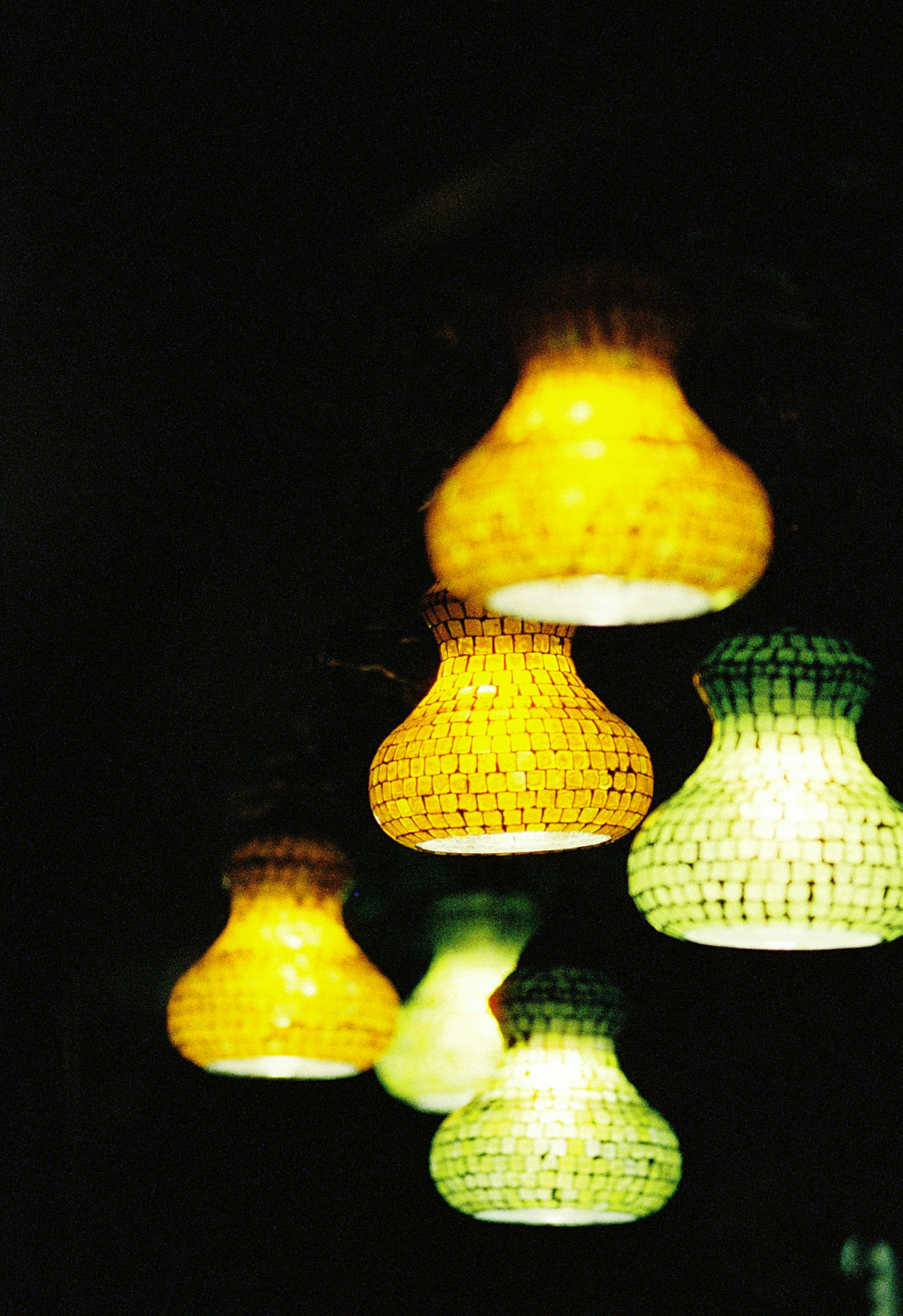 Types of UVB lights suitable for tortoises