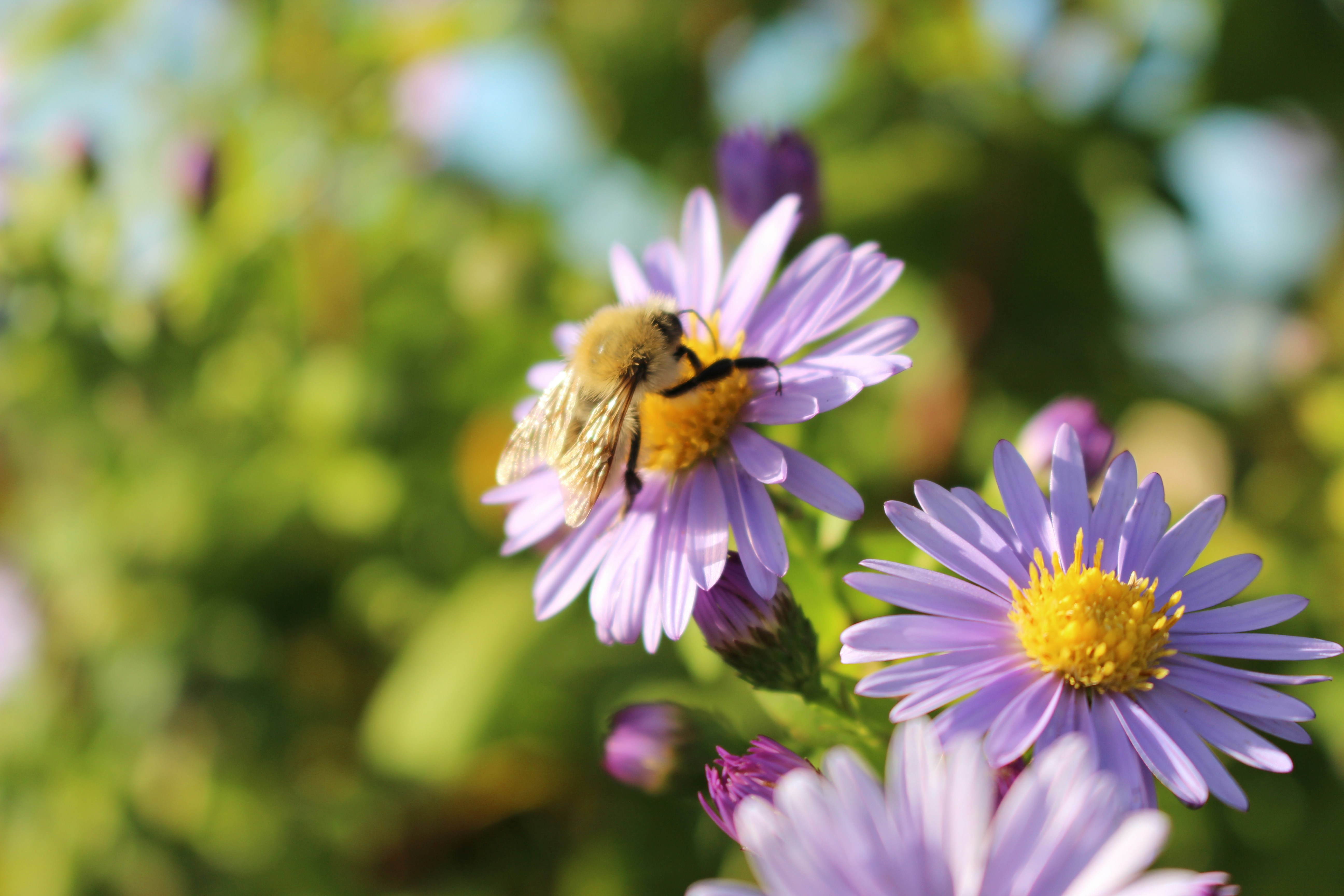 Photo by martinajasmin