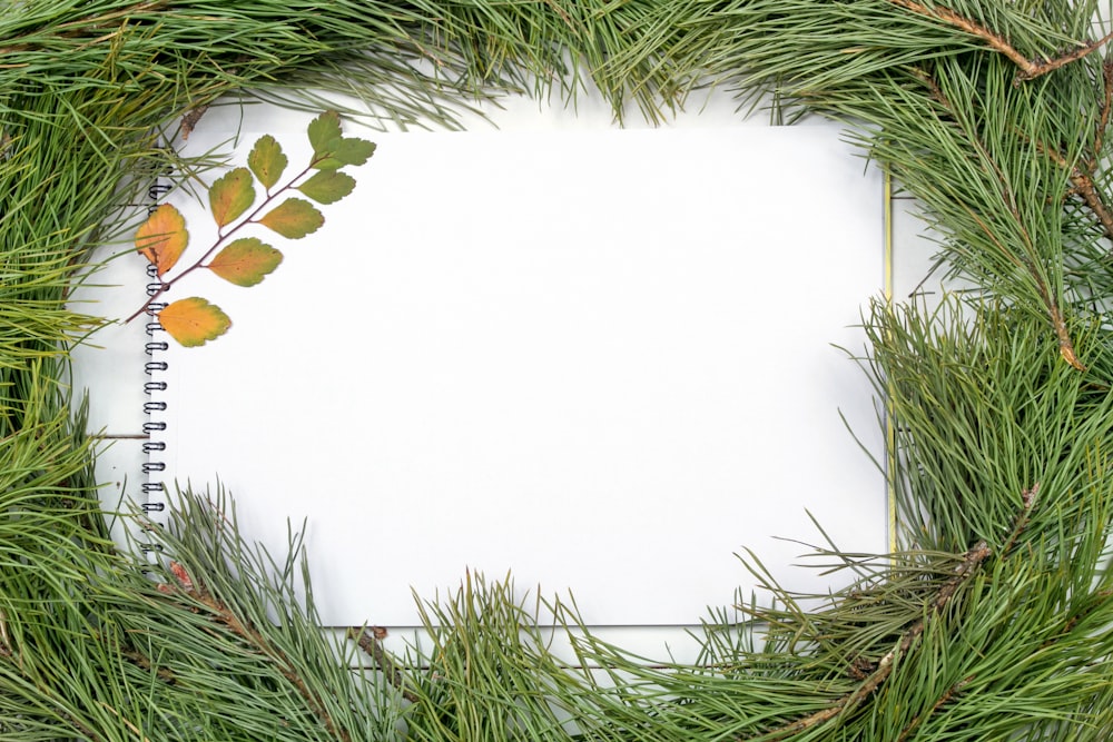 a white sheet of paper surrounded by green branches