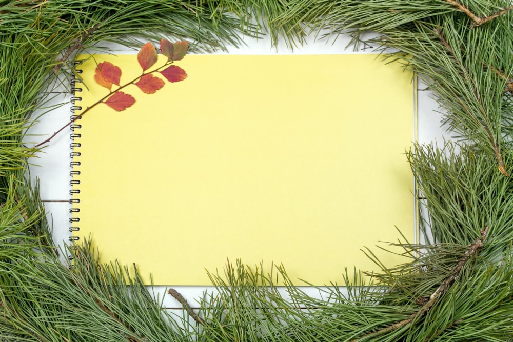 a notebook with a yellow cover surrounded by pine branches