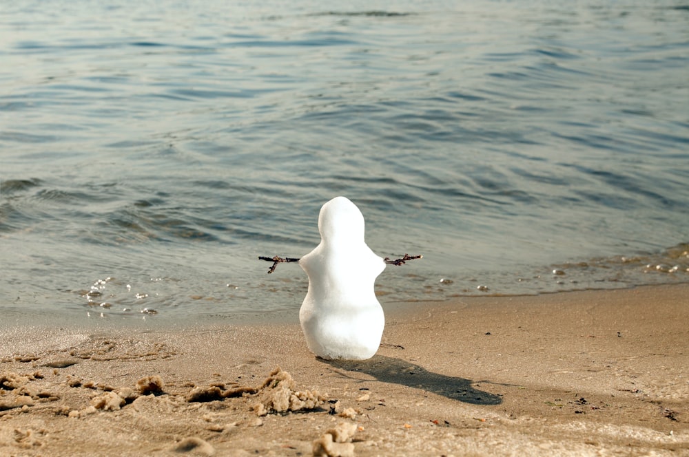 a white duck is sitting on the sand by the water