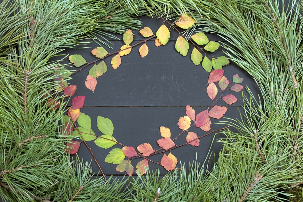 a wreath made of leaves on a black background