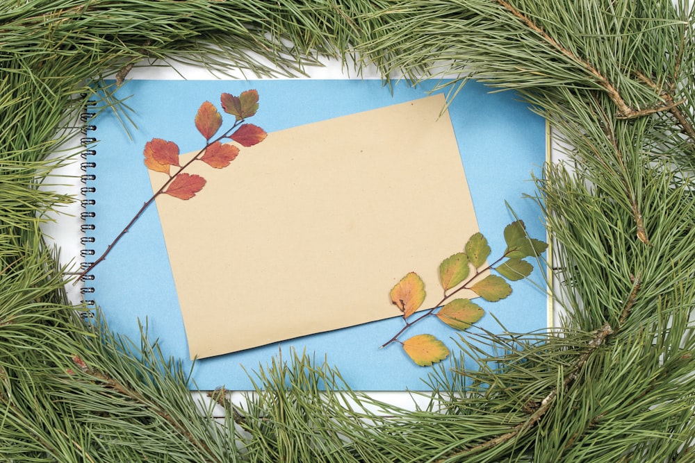 a piece of paper on top of a pine tree