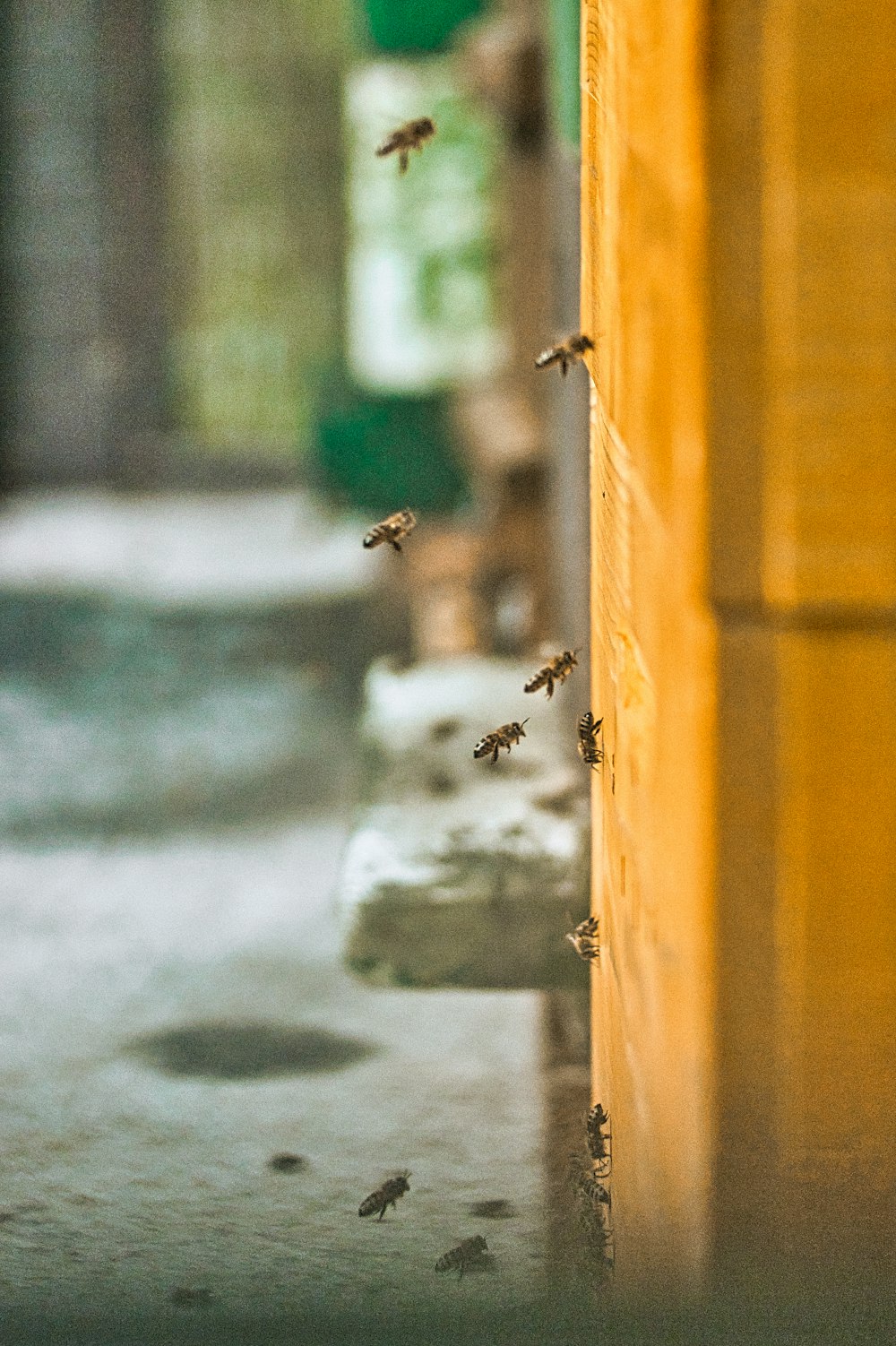 a group of bees flying around a building