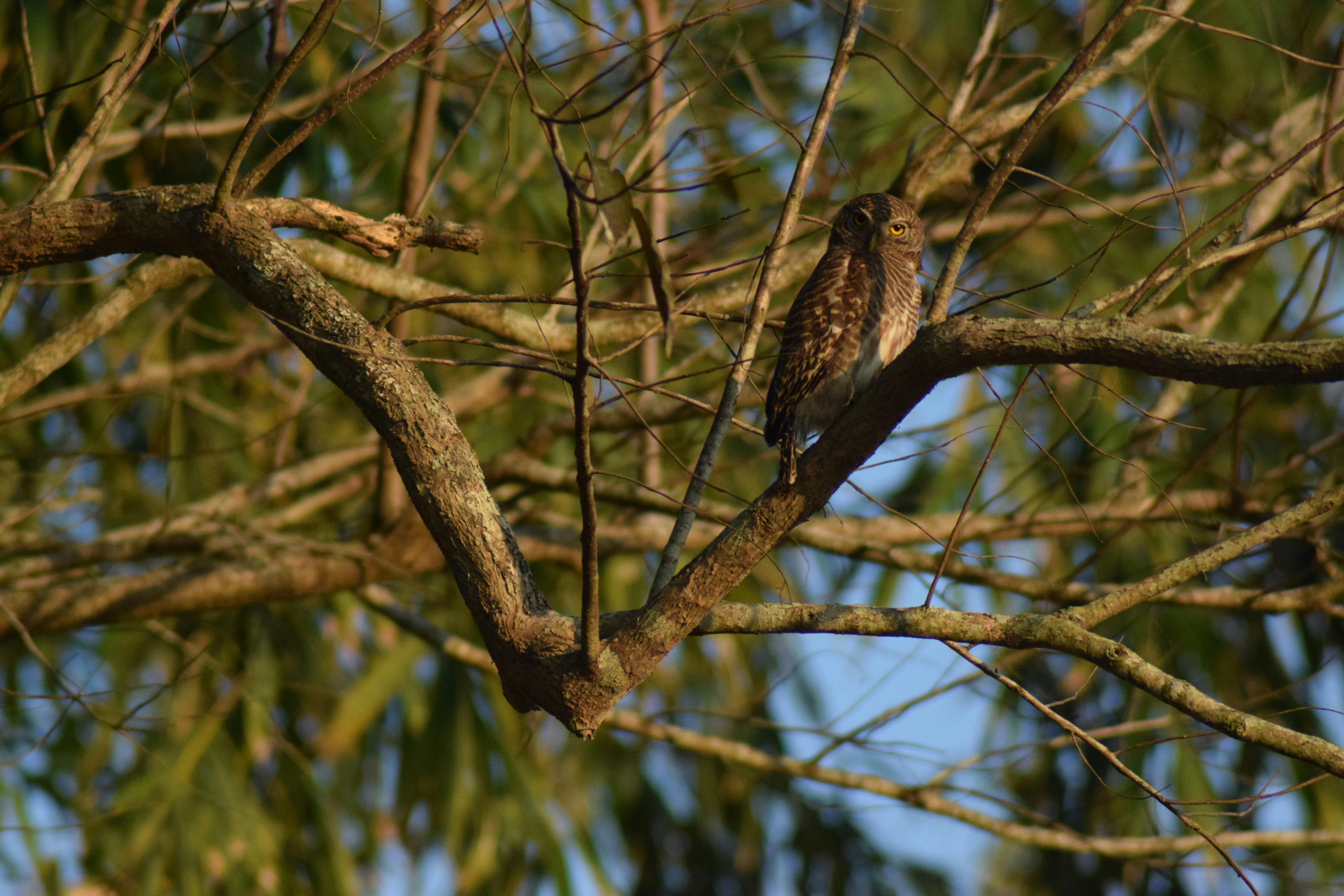 Photo by photographyworld