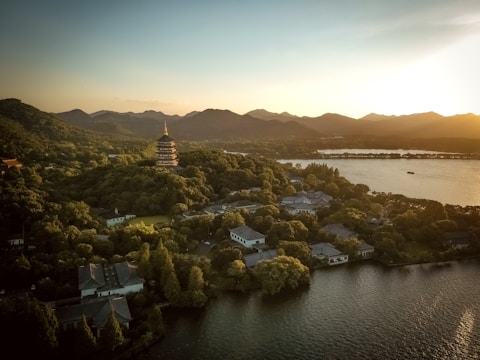 a large body of water surrounded by trees