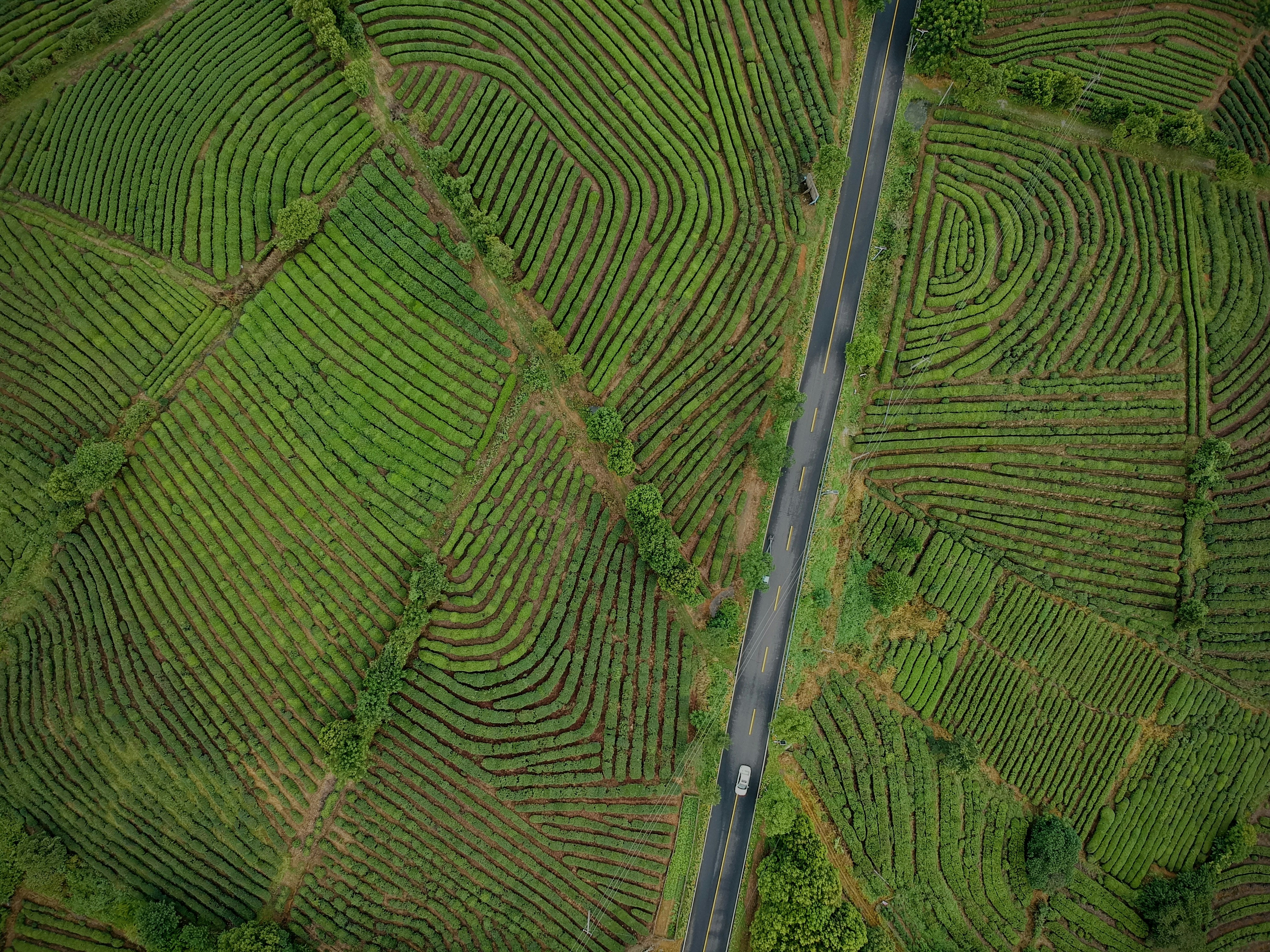 Photo by edwardzhu02