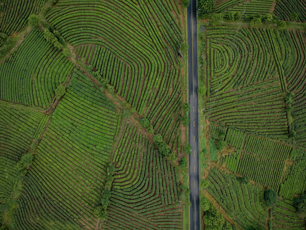 an aerial view of a road surrounded by green fields