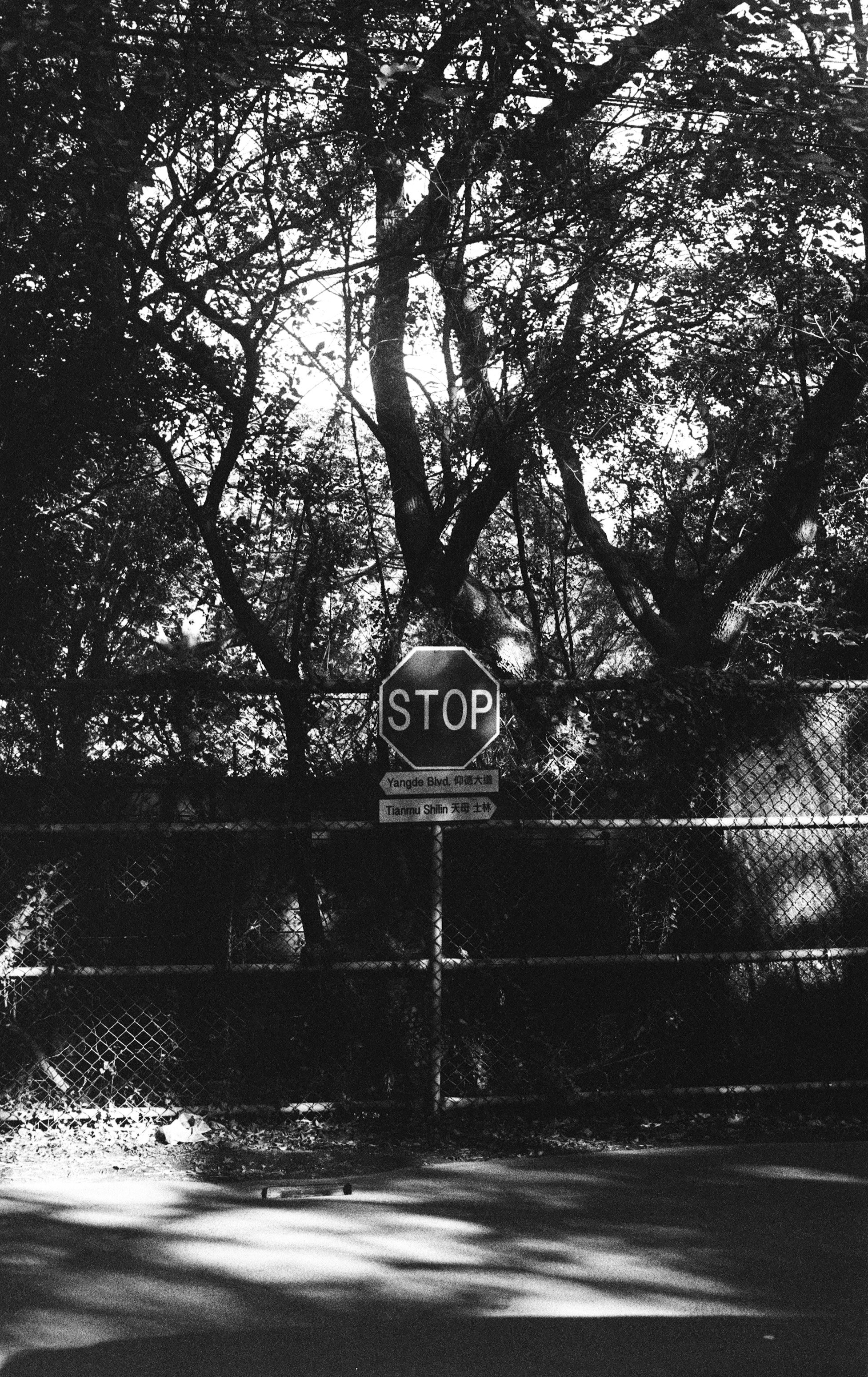 a-black-and-white-photo-of-a-stop-sign-photo-free-street-photography