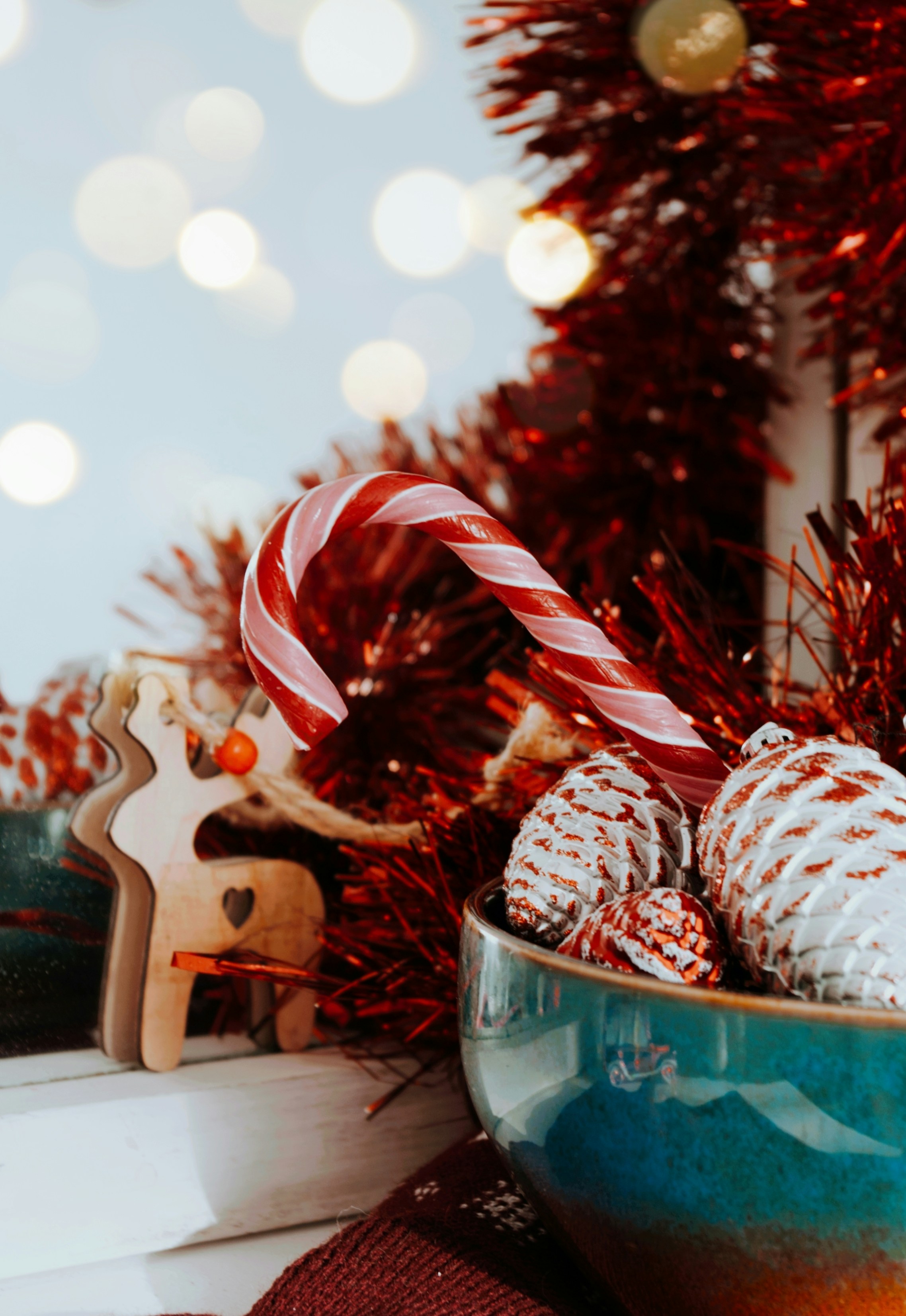 Photo by moonmoons_days