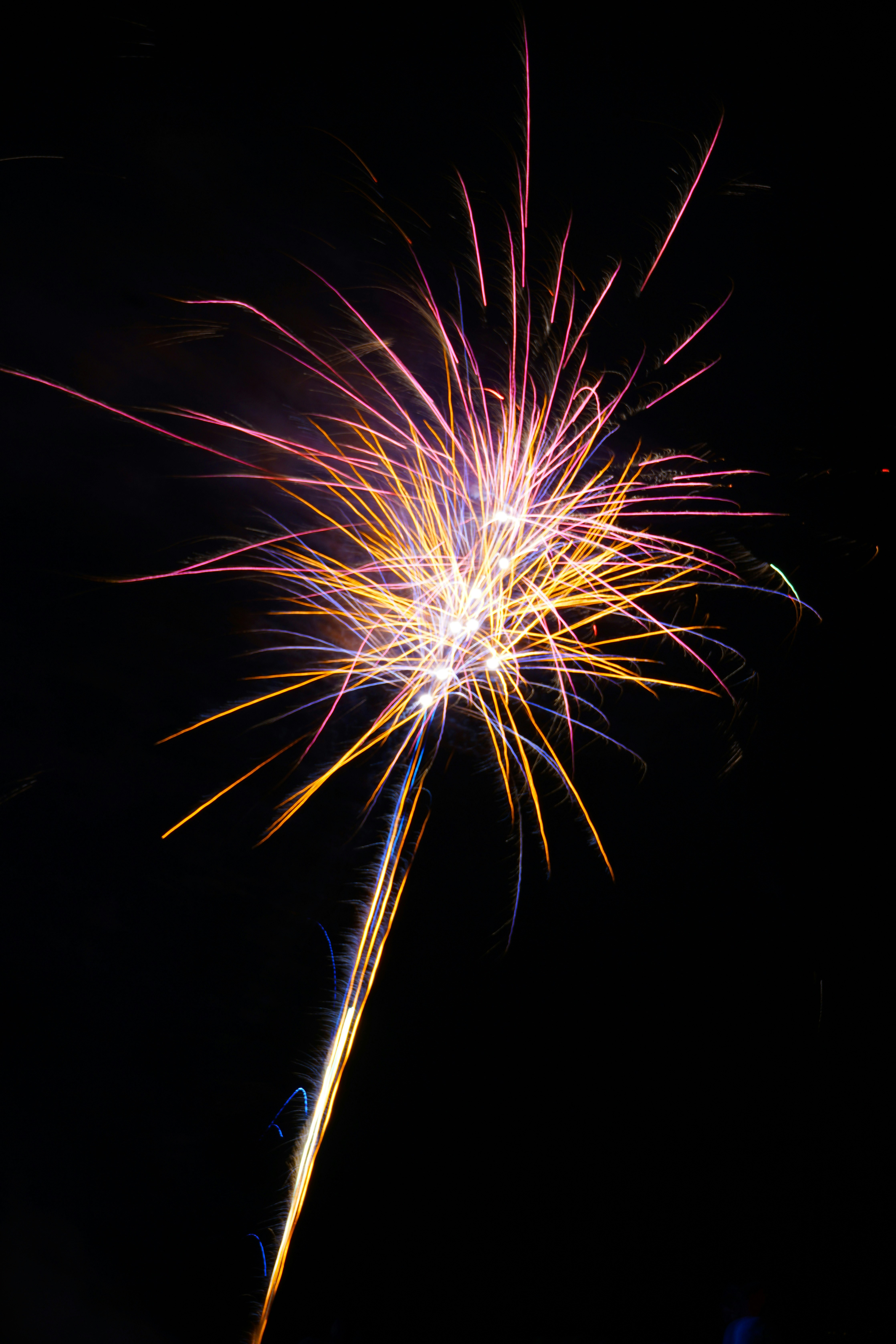 Photo by thegoldenmelon