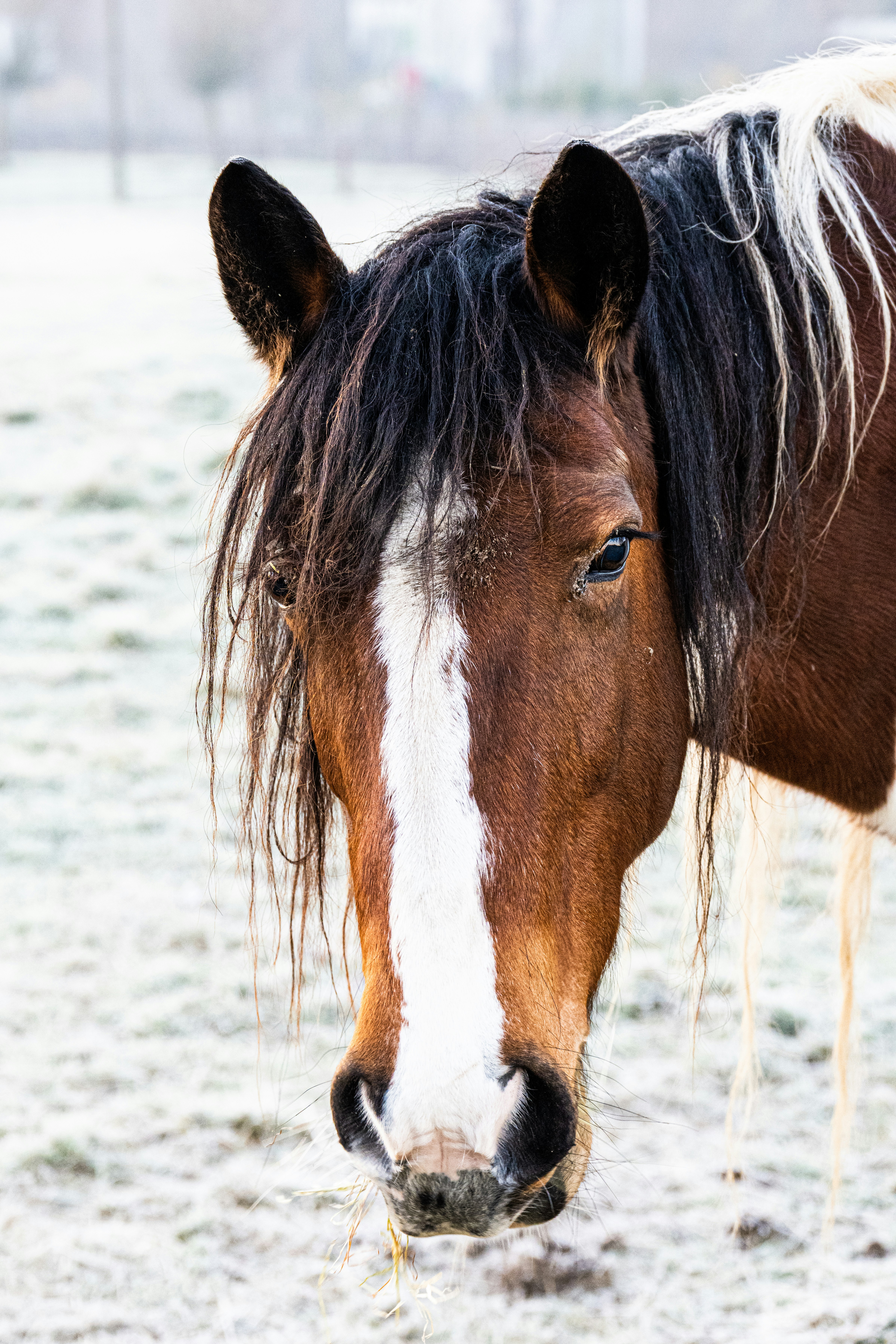 Photo by aurelietack