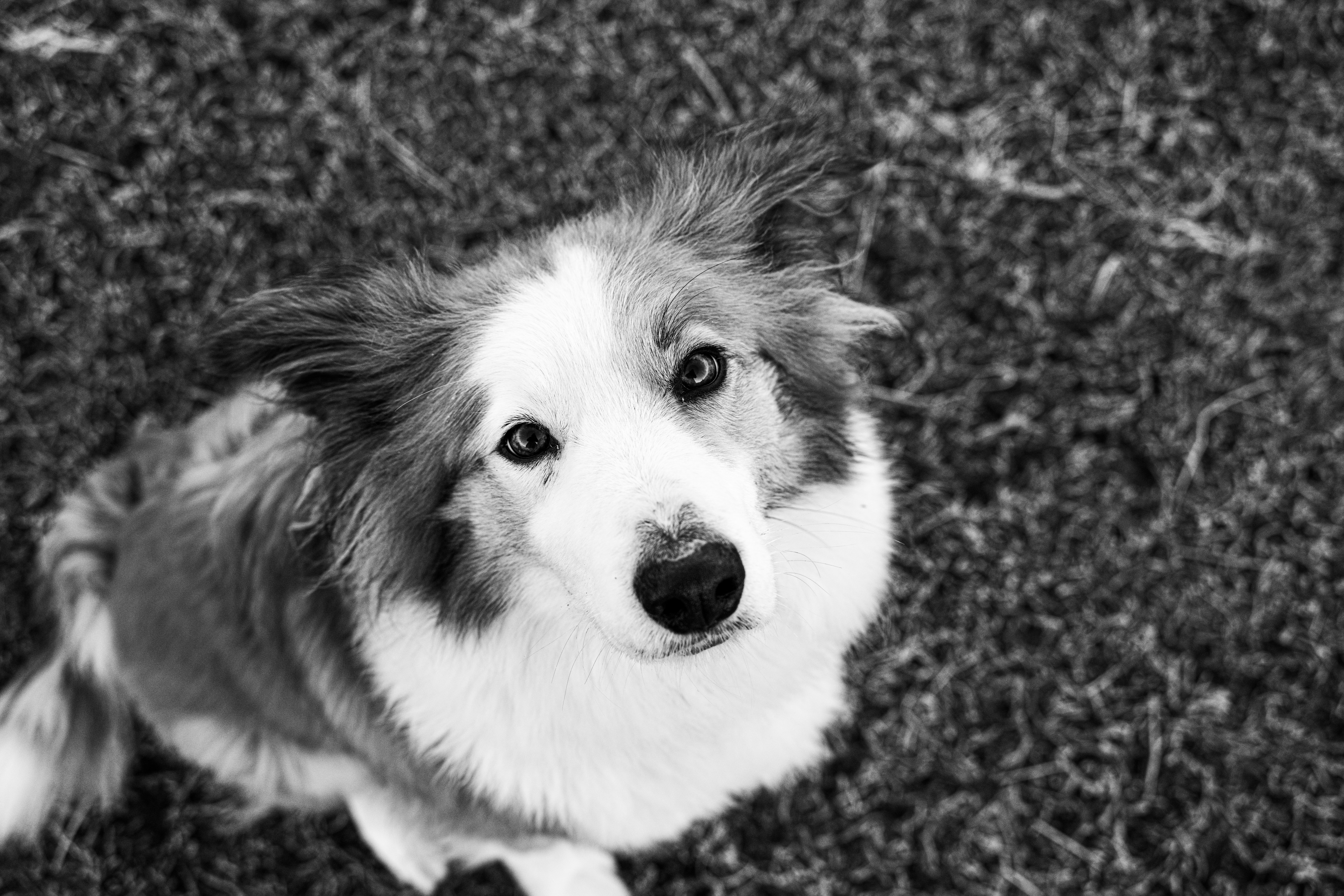 Photo by aurelietack