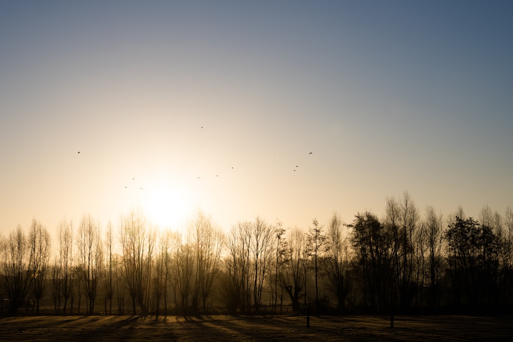 the sun is setting over a field with trees