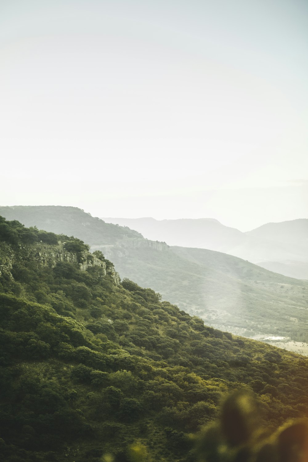 a view of a lush green hillside on a sunny day