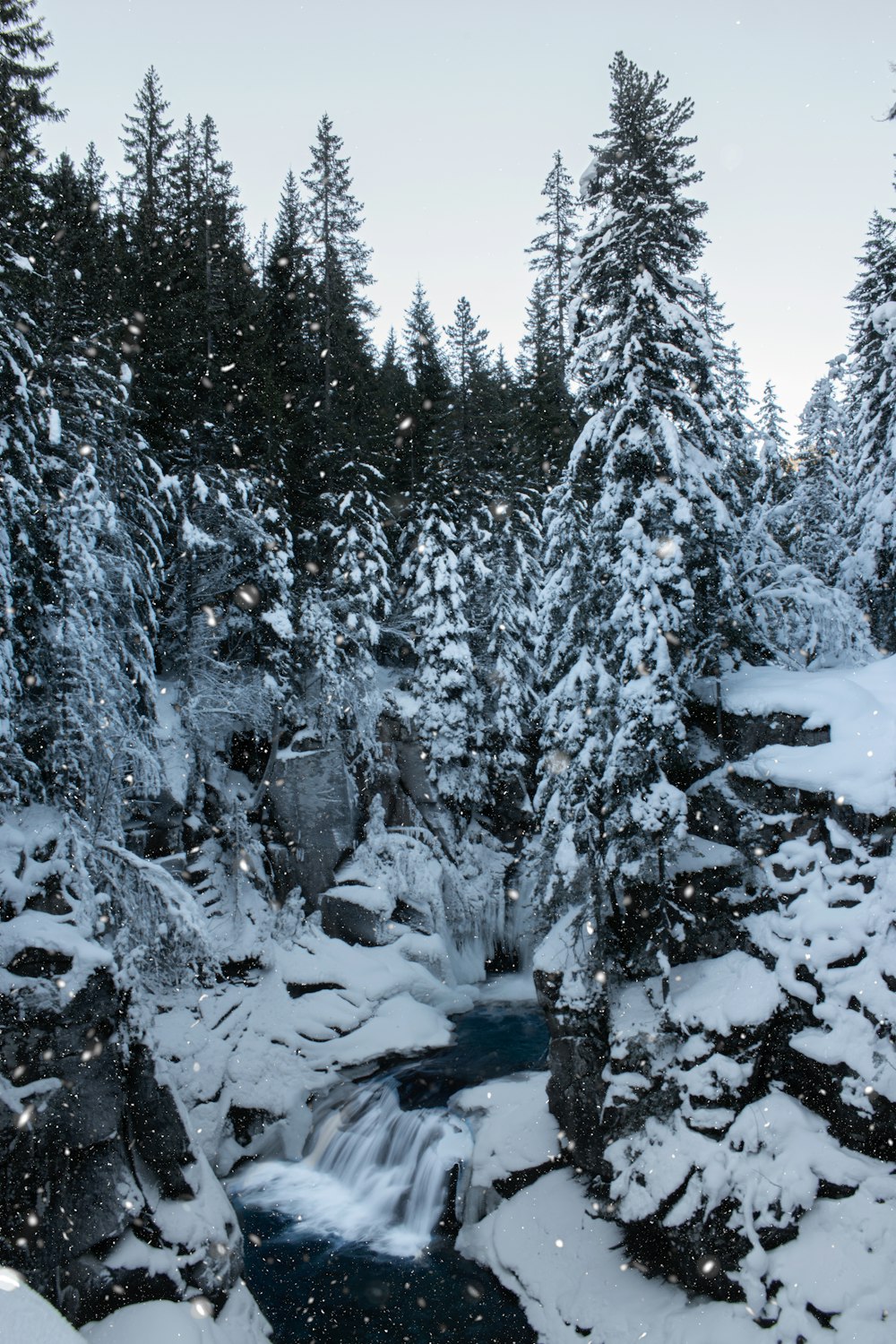 um rio que atravessa uma floresta coberta de neve