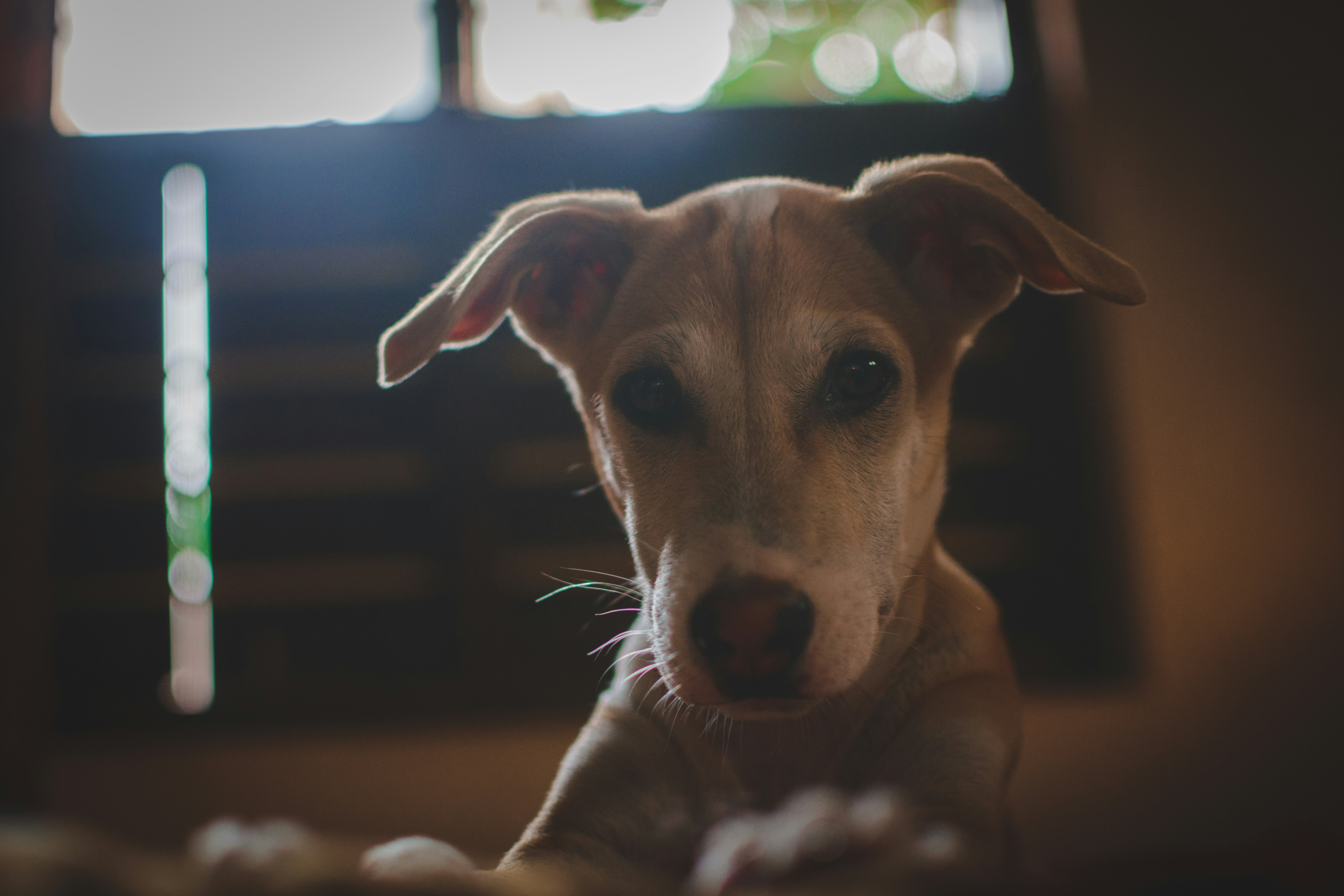 Photo by in_a_dustyblackcoat