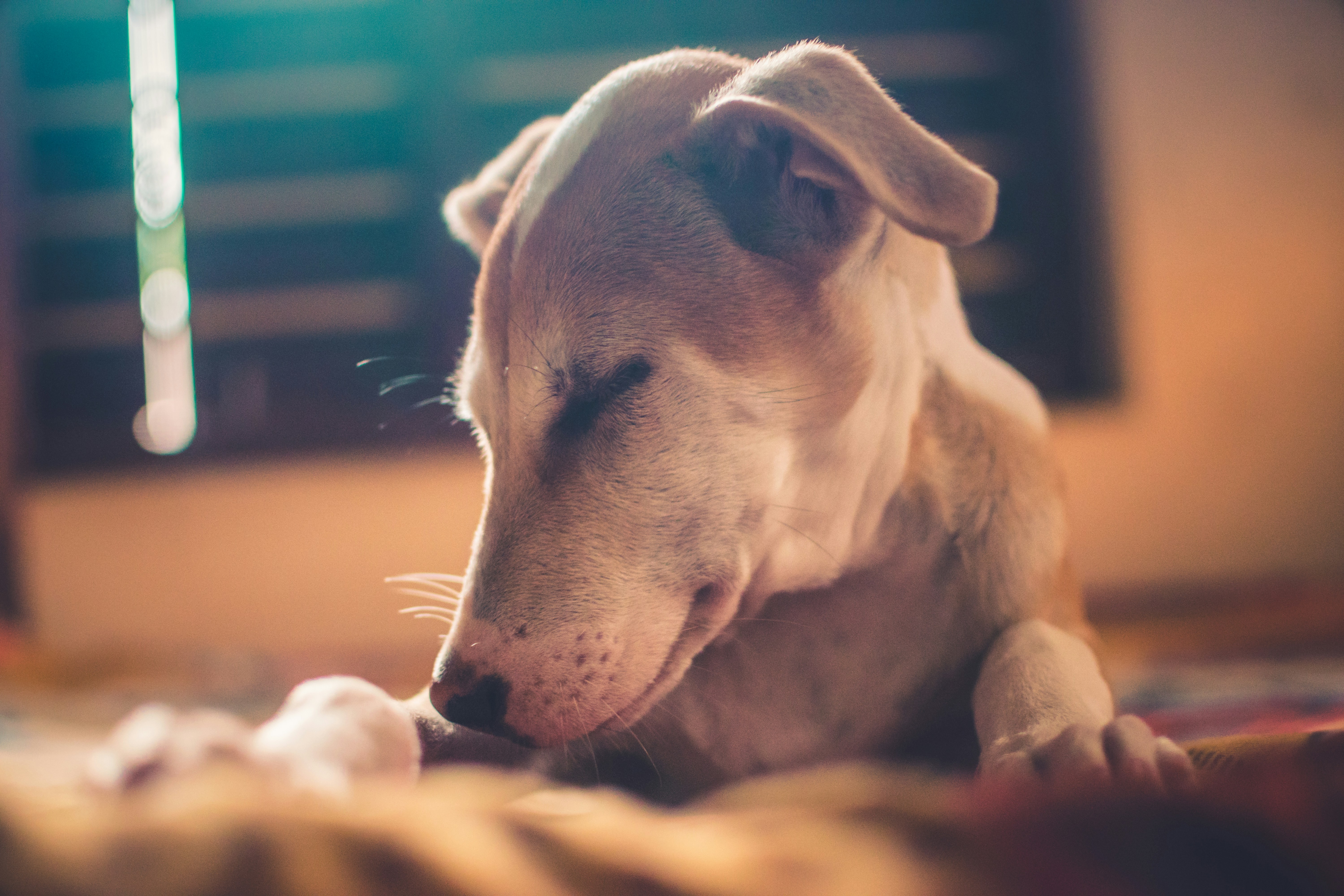 Photo by in_a_dustyblackcoat