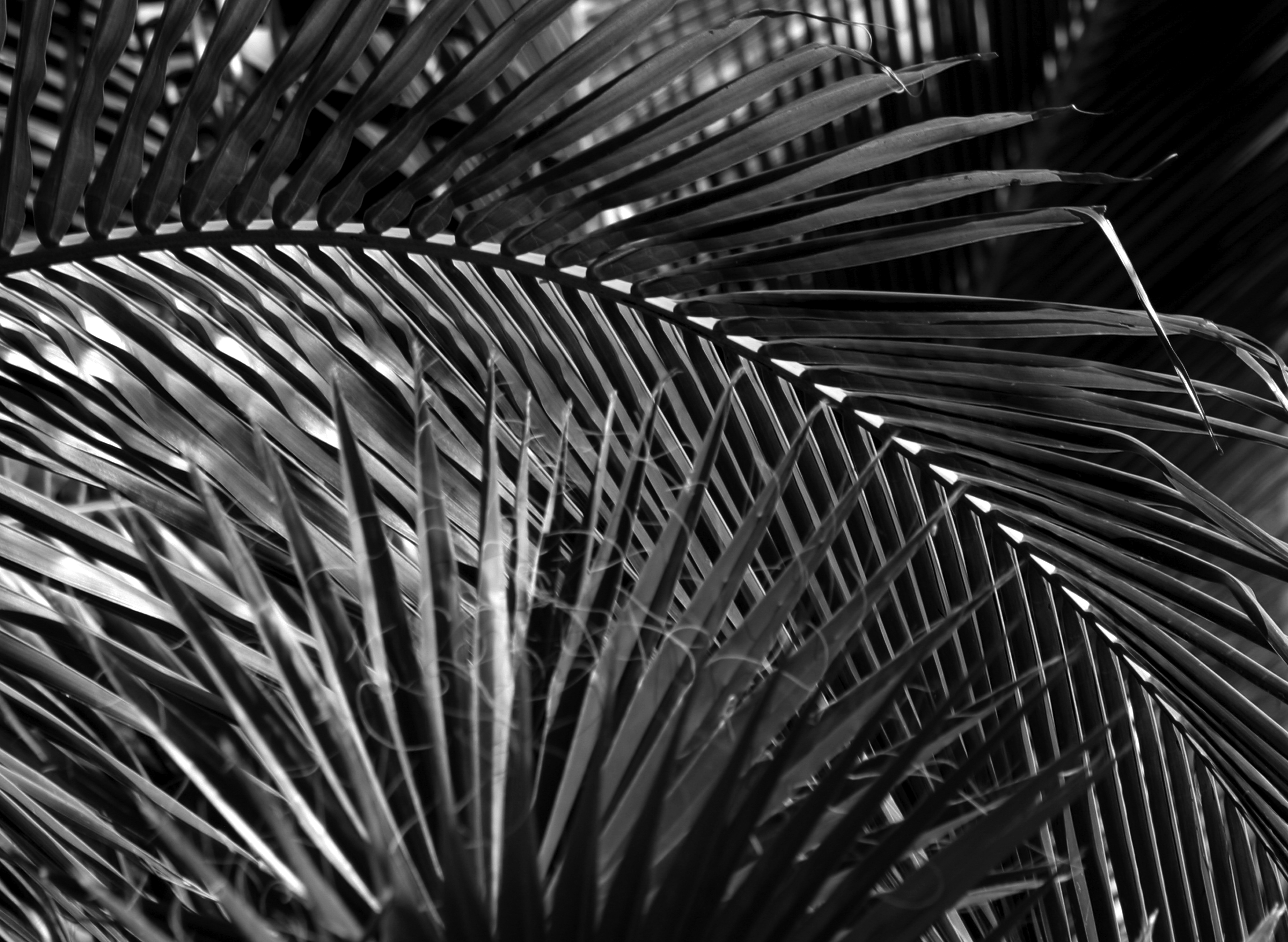 Photo by climatechangevi