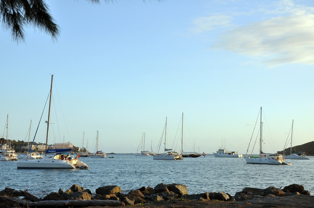 a small boat in a large body of water