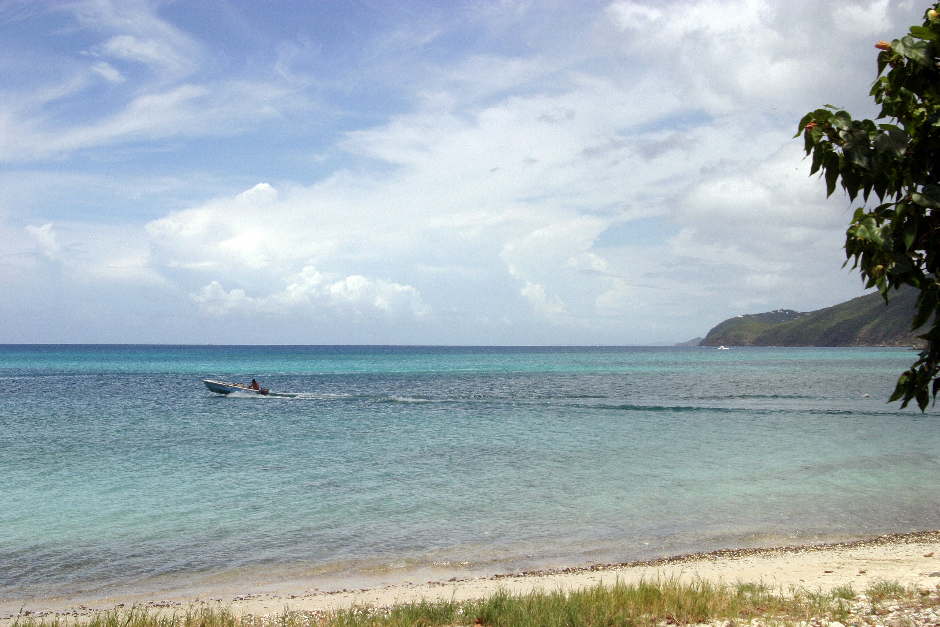 a sandy beach next to a body of water