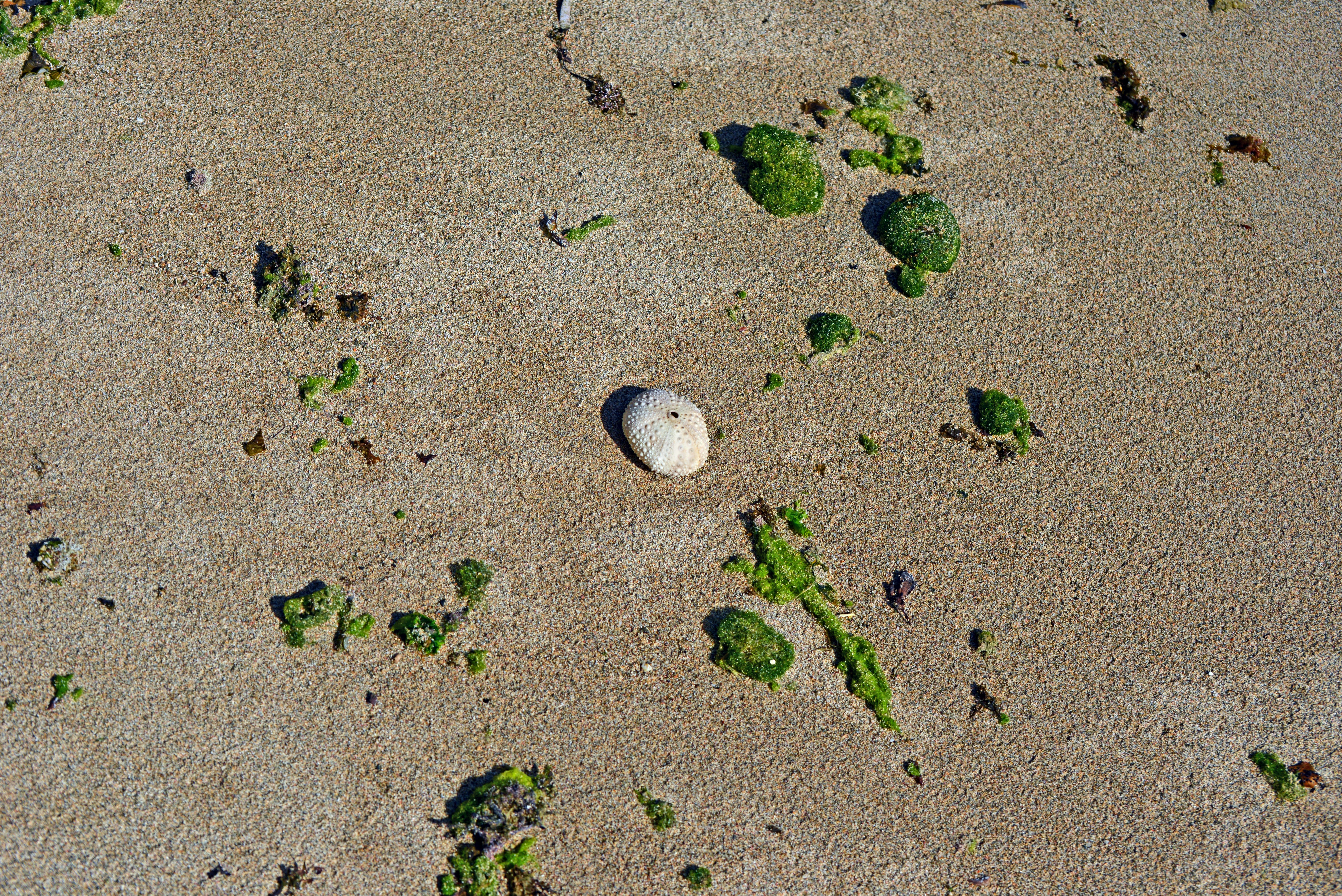 una roca sentada en la cima de una playa de arena