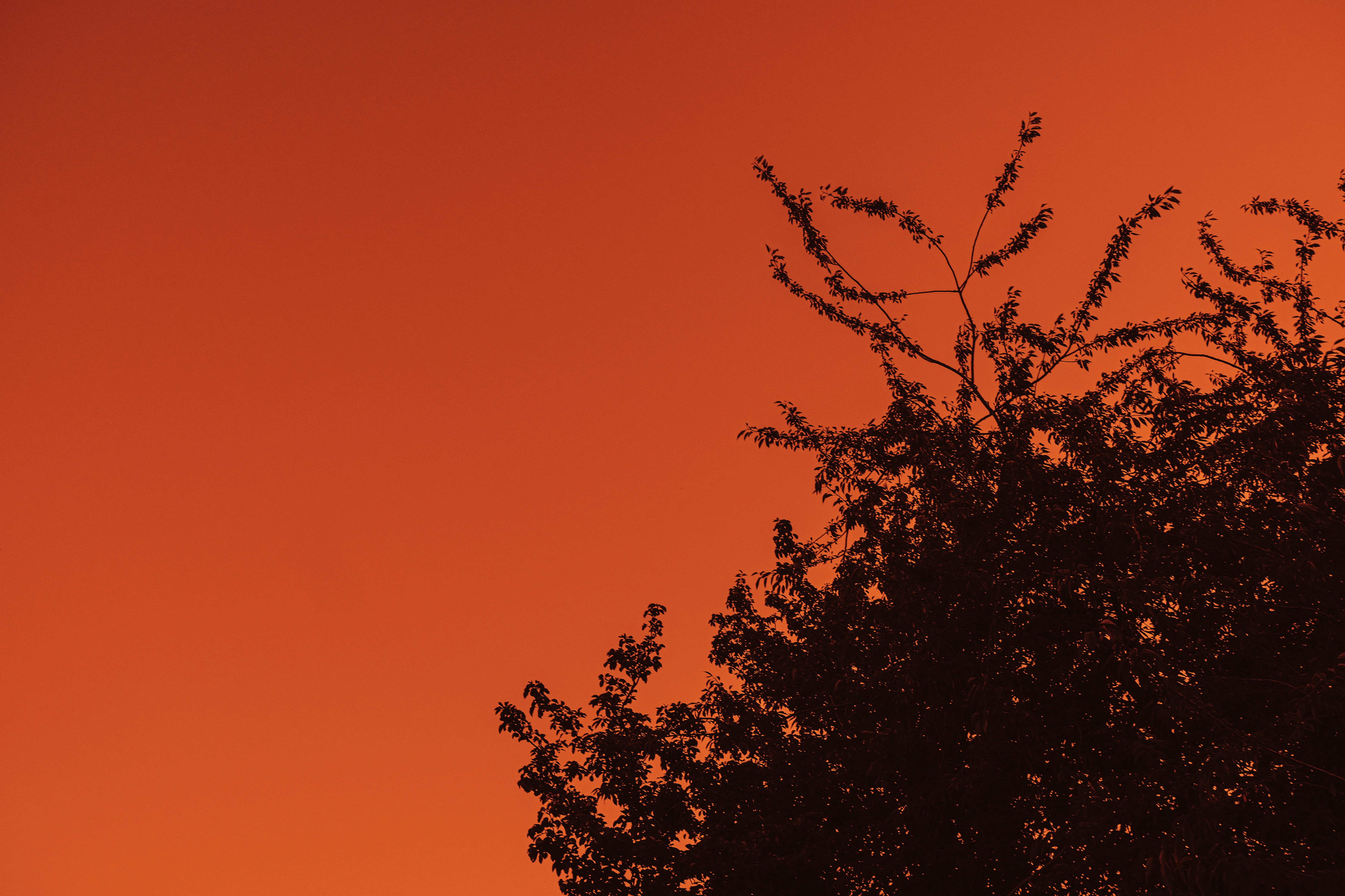 Photo by reganography