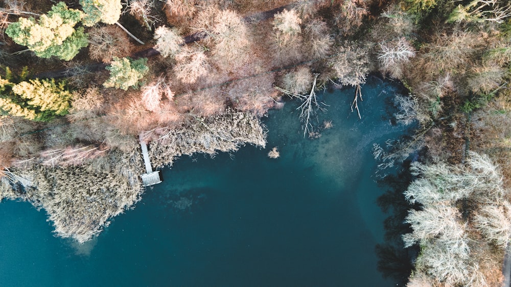 an aerial view of a lake surrounded by trees