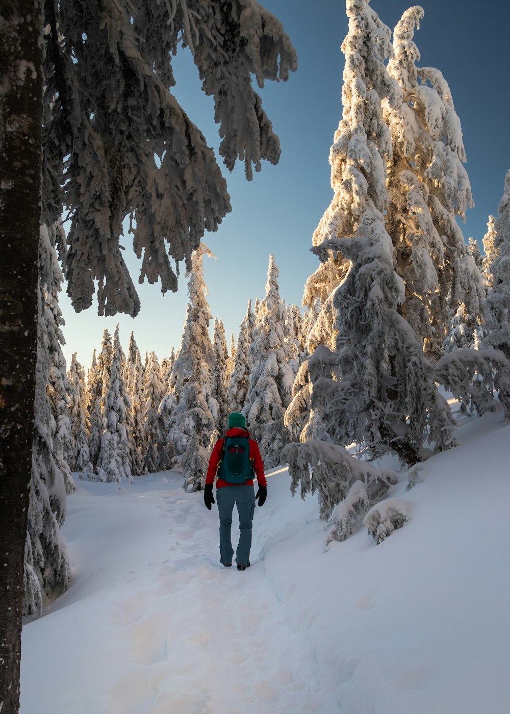 a man is cross country skiing in the snow