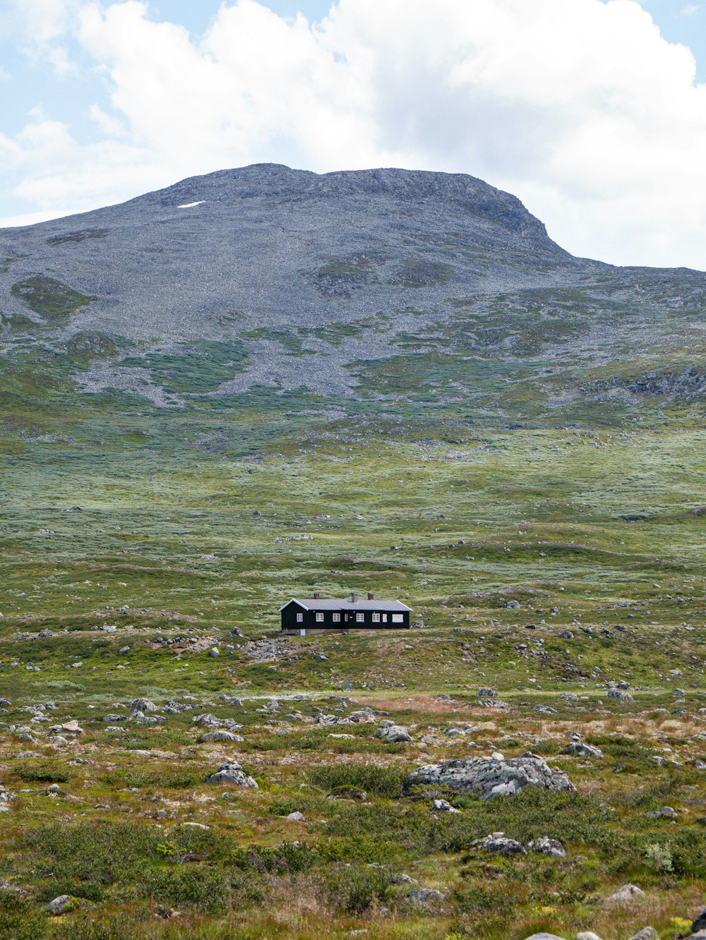 a train traveling through a lush green countryside