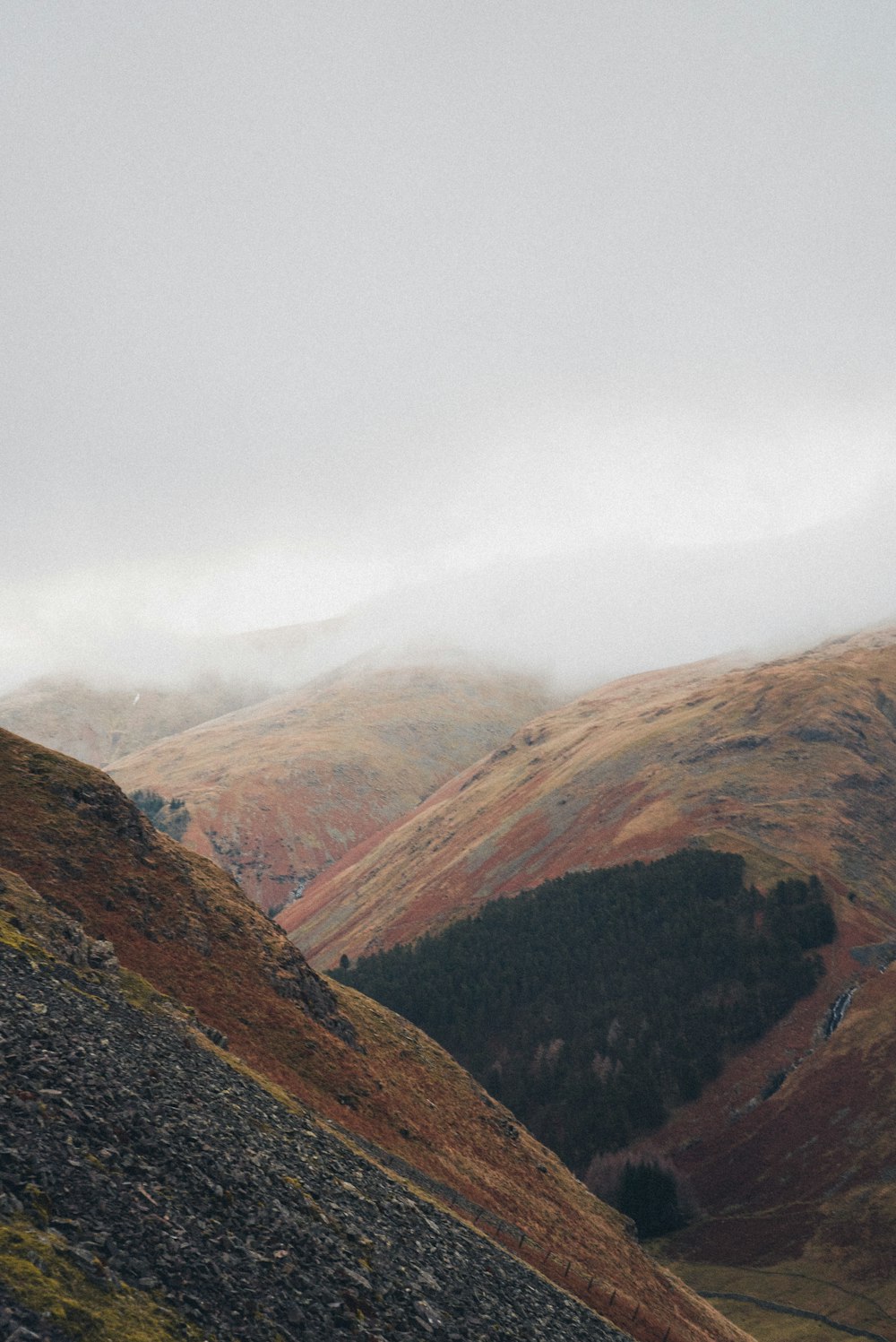 a couple of sheep standing on top of a lush green hillside