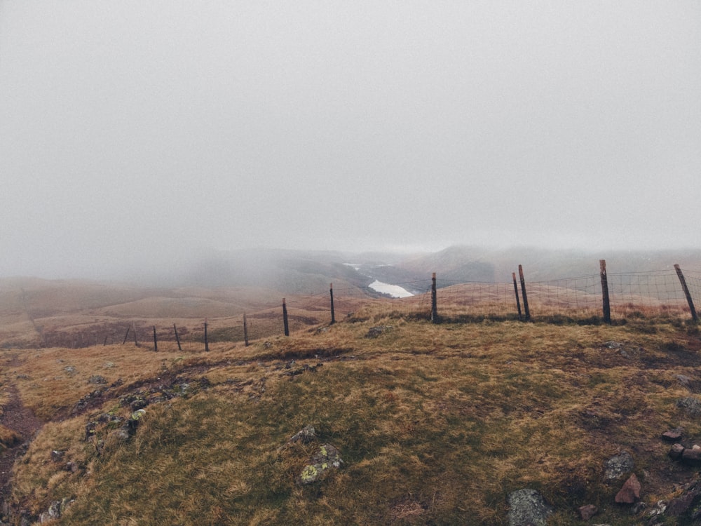 Una pecora in piedi su una collina nella nebbia