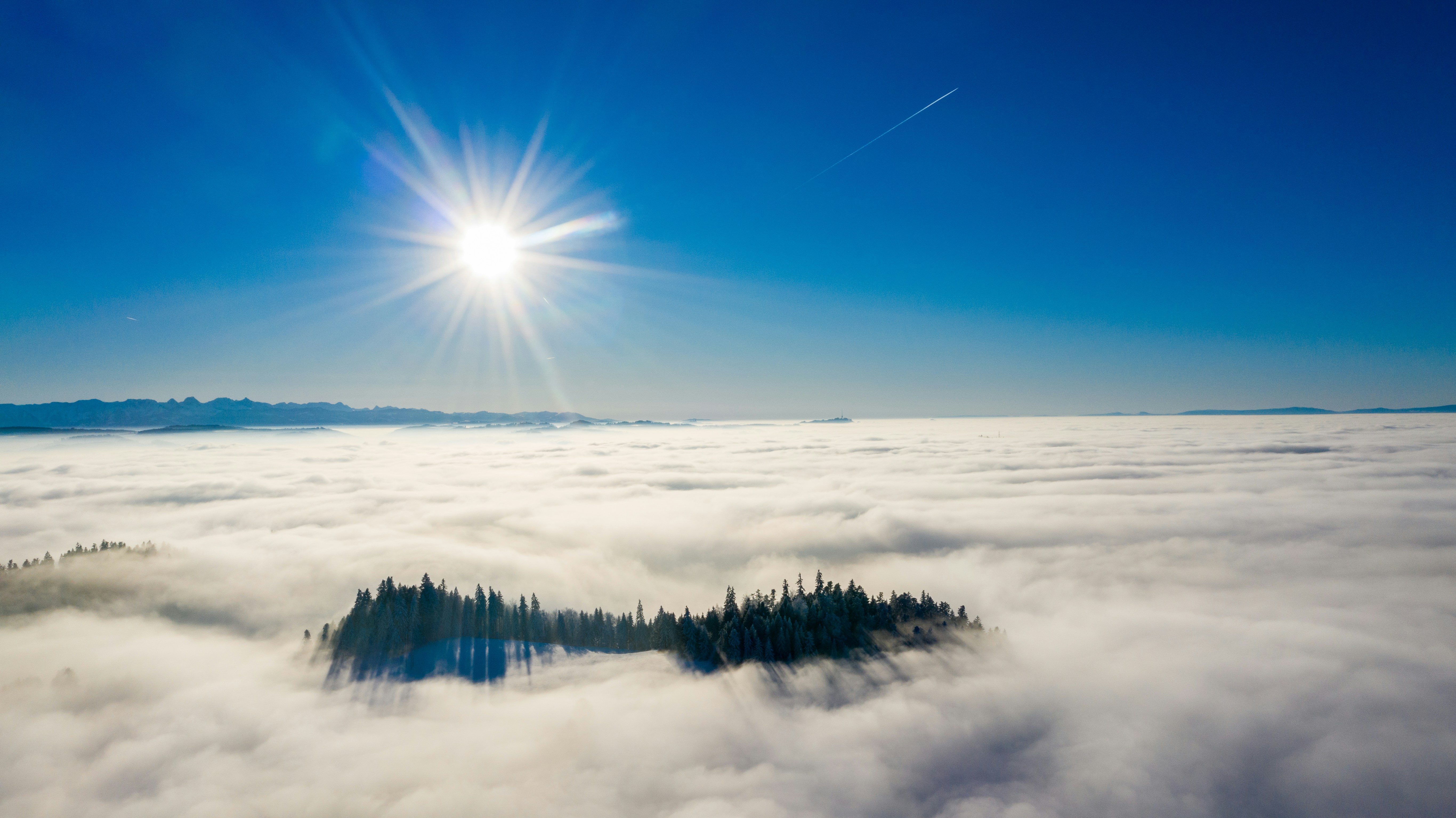 Photo by manuel_boxler