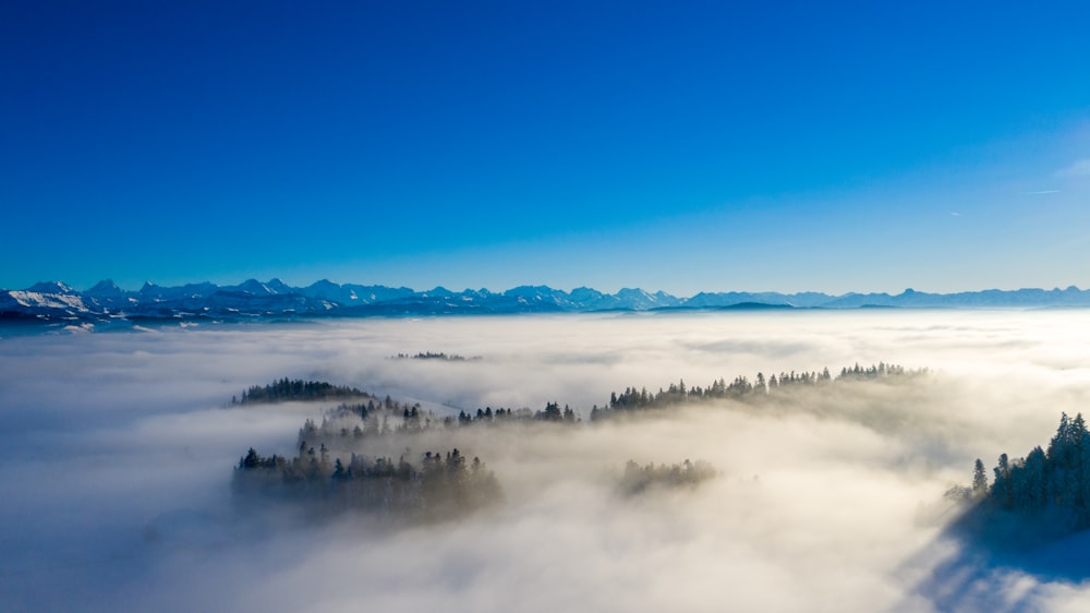 a view of a mountain covered in fog