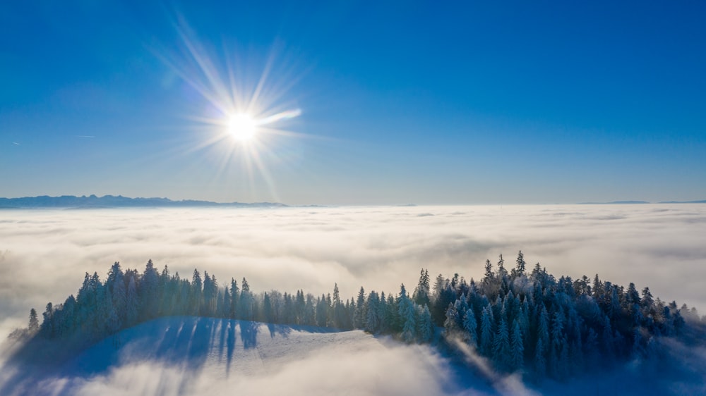 the sun is shining above the clouds and trees