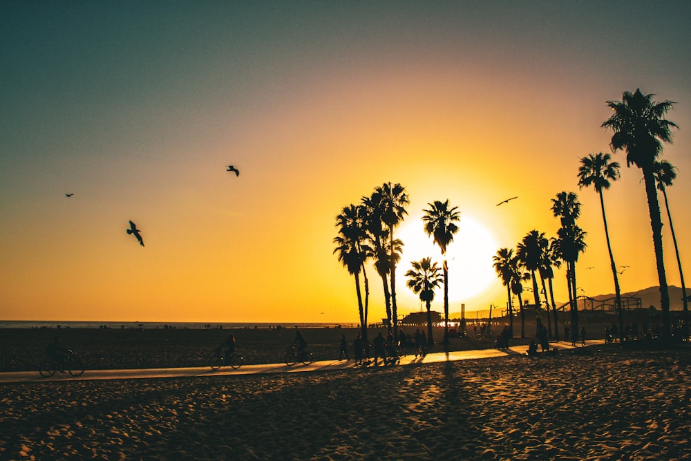 the sun is setting over the beach with palm trees