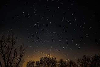 A twilight sky with a bright meteor streaking above a quiet forest and a seismograph setup nearby.