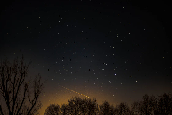 A twilight sky with a bright meteor streaking above a quiet forest and a seismograph setup nearby.