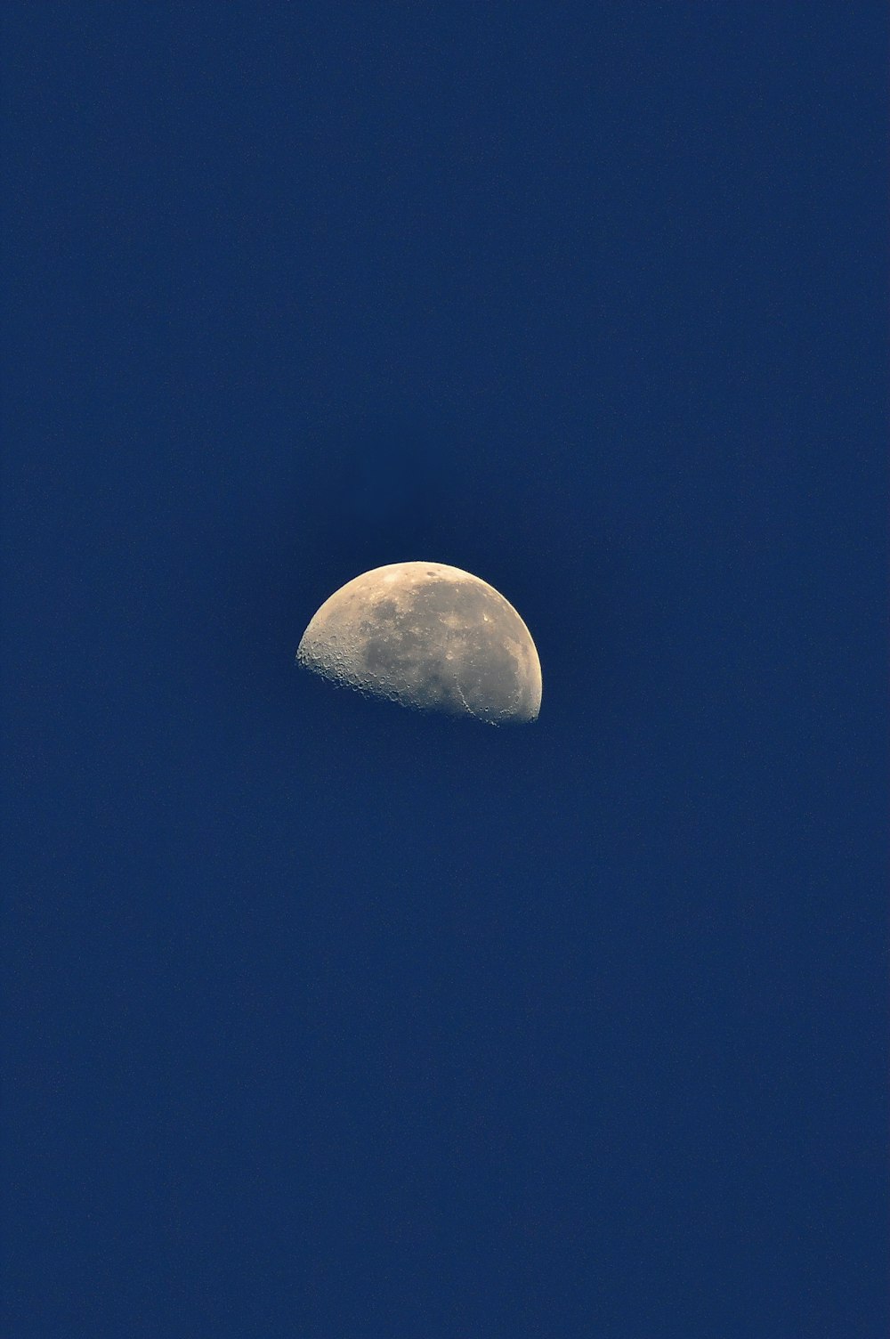 a half moon is seen in the blue sky