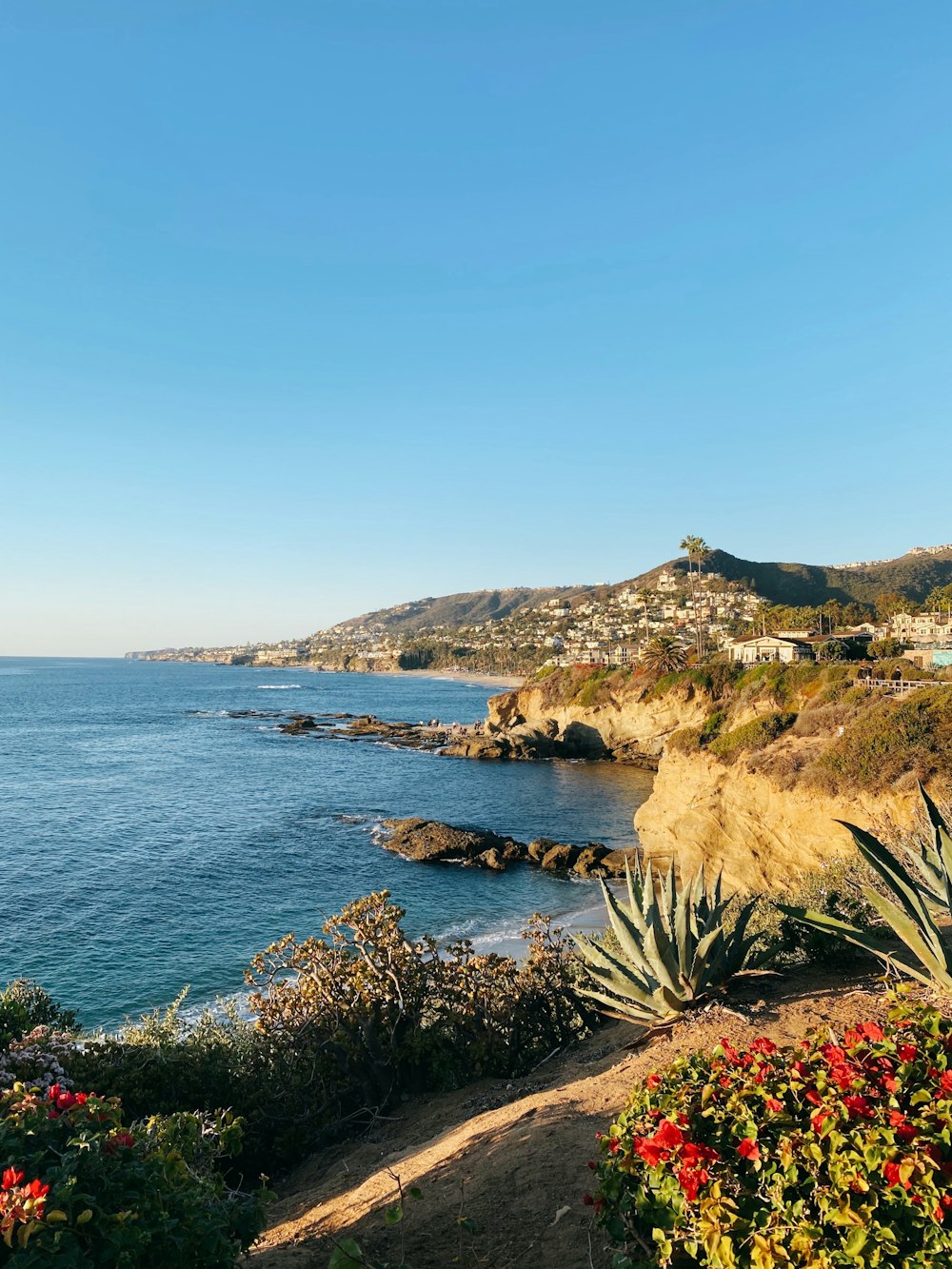 a view of the ocean from a cliff