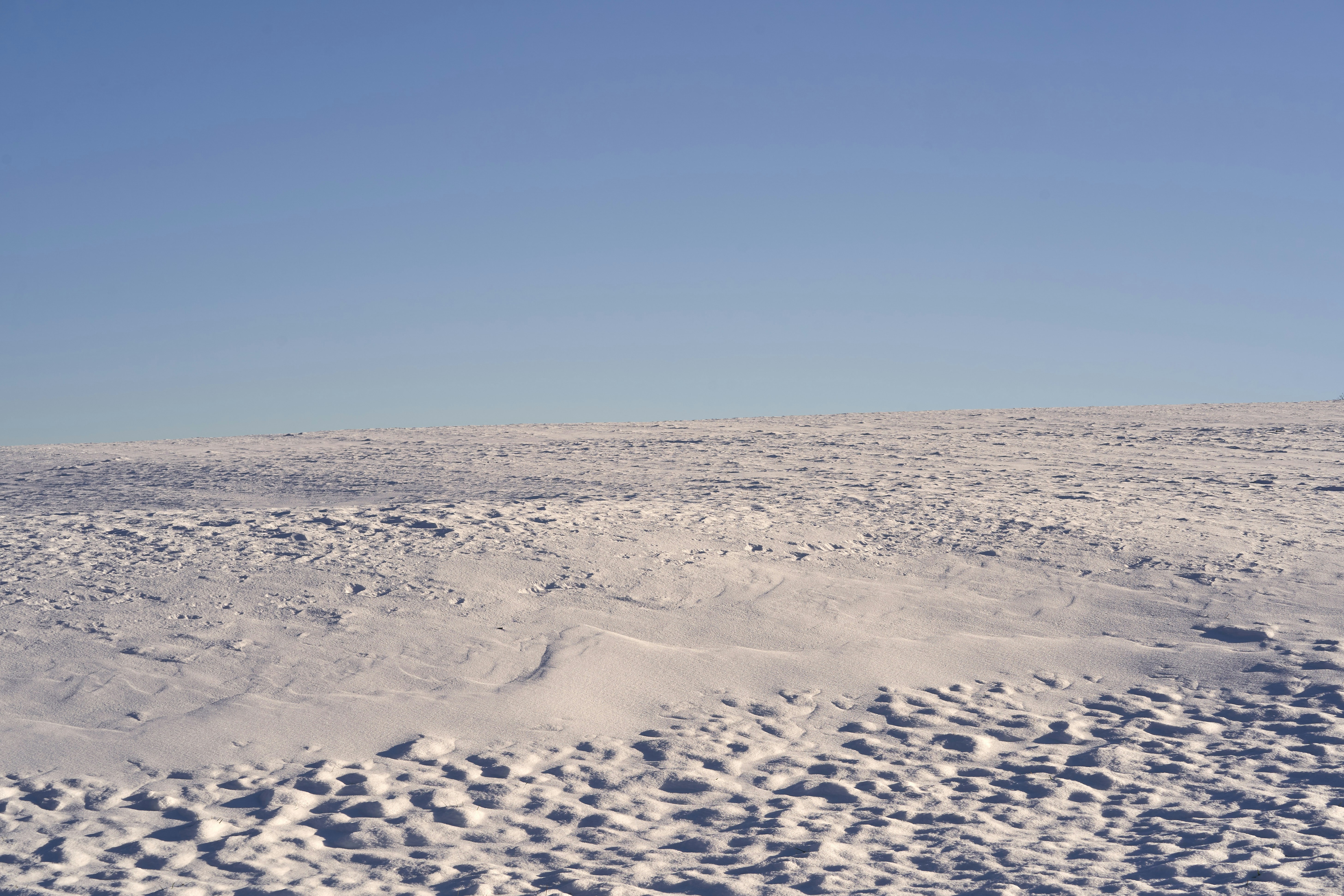 Photo by wolfgang_hasselmann