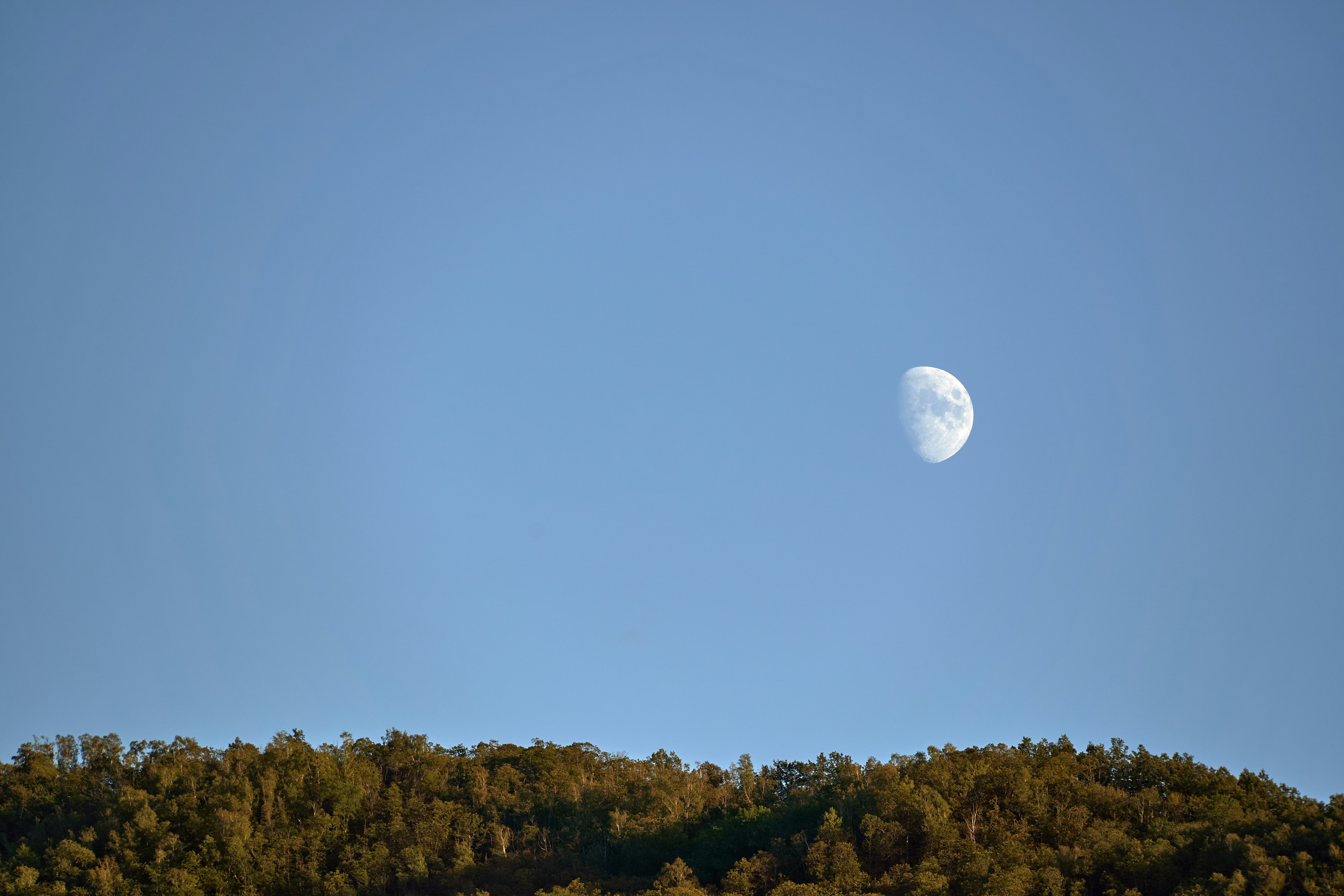 Photo by wolfgang_hasselmann