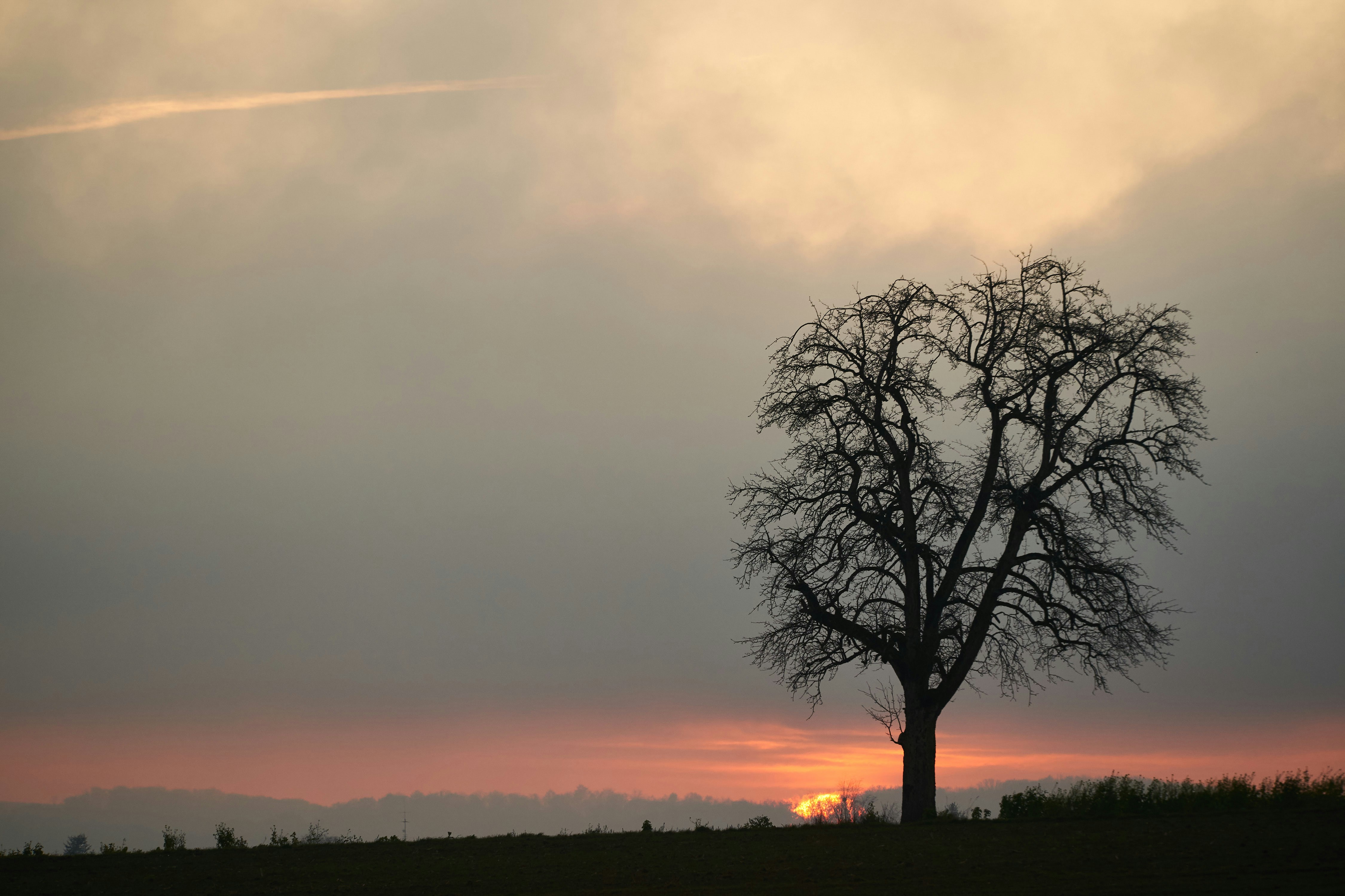 Photo by wolfgang_hasselmann