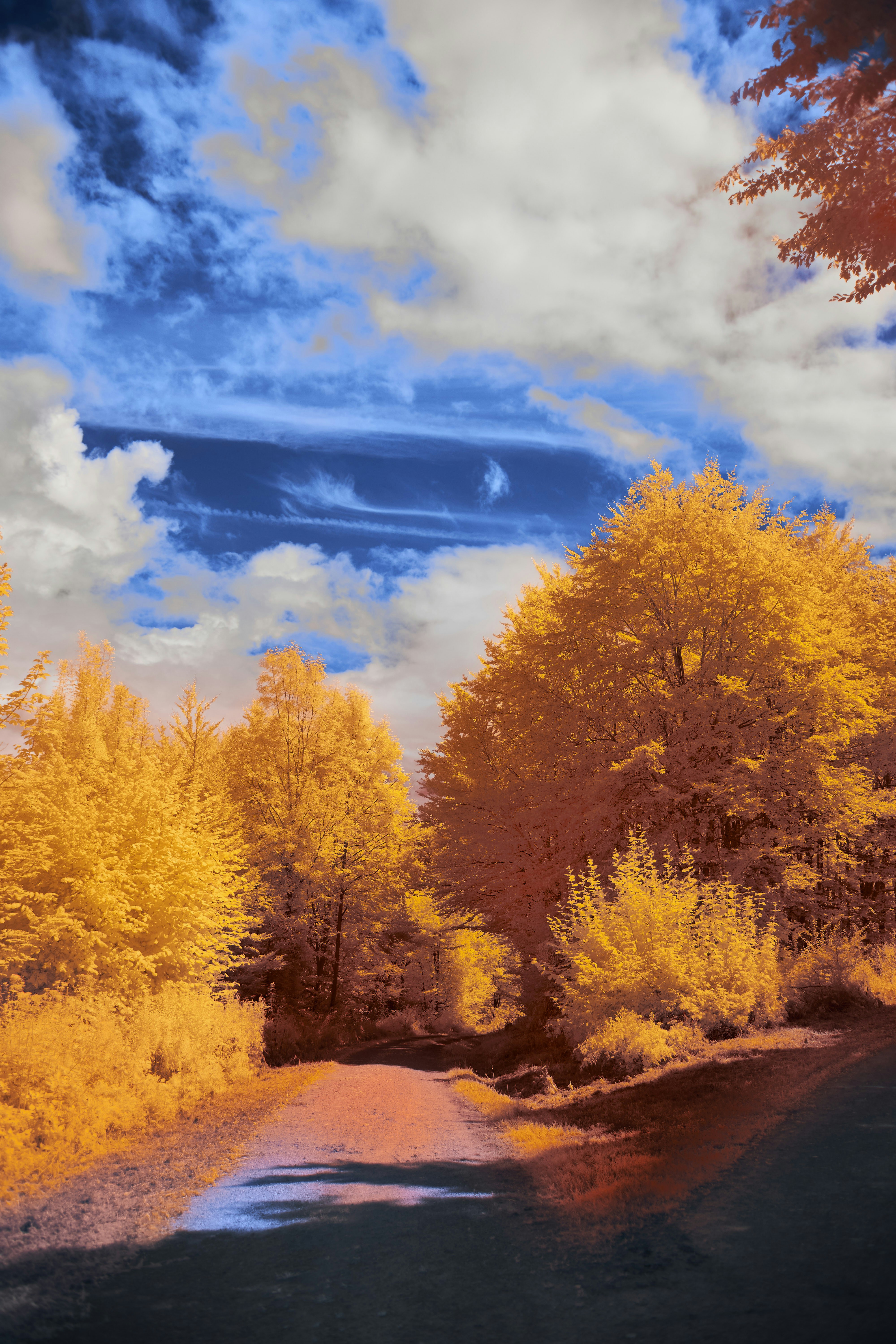 Photo by wolfgang_hasselmann