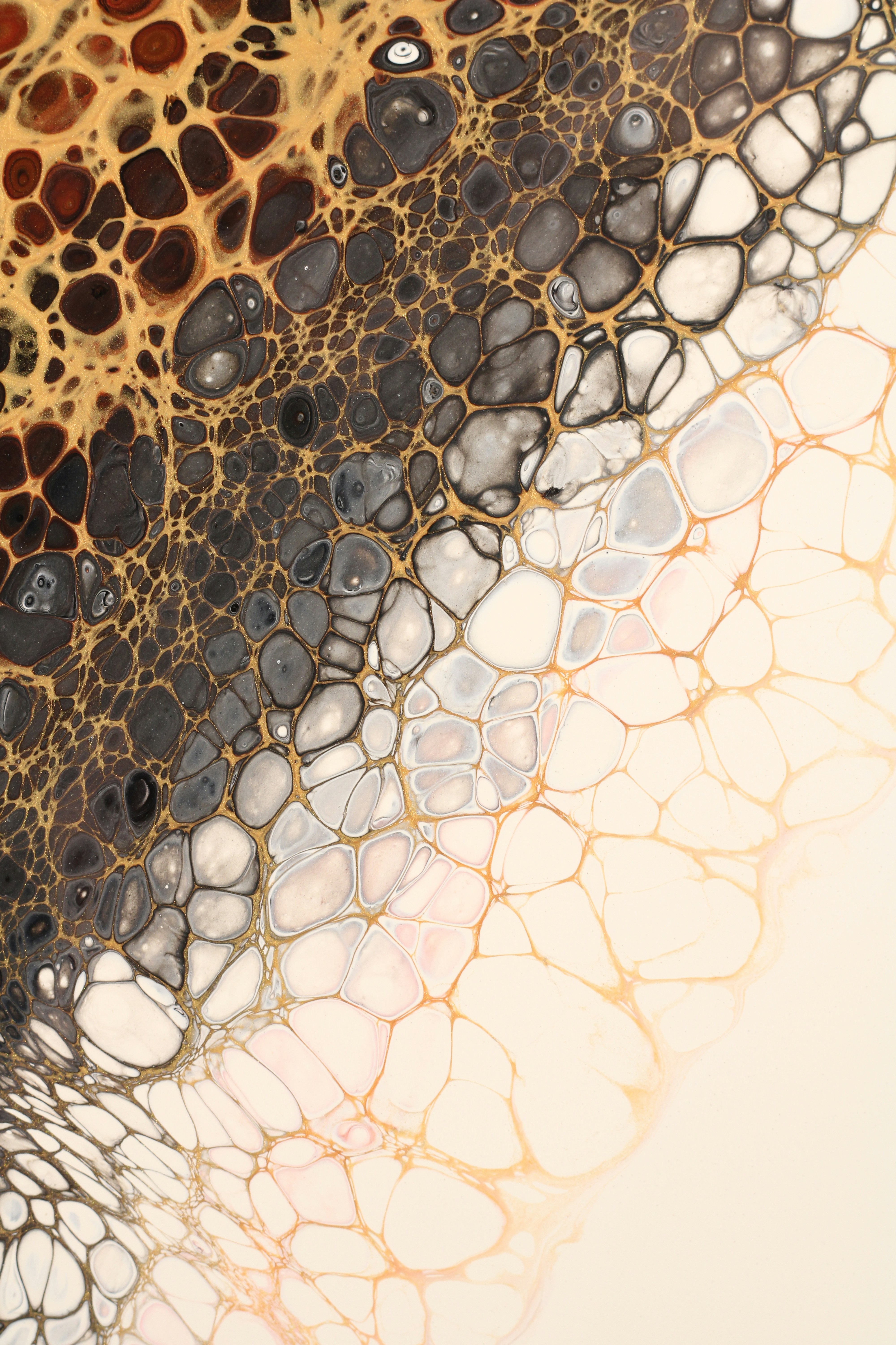 Photo by susan_wilkinson