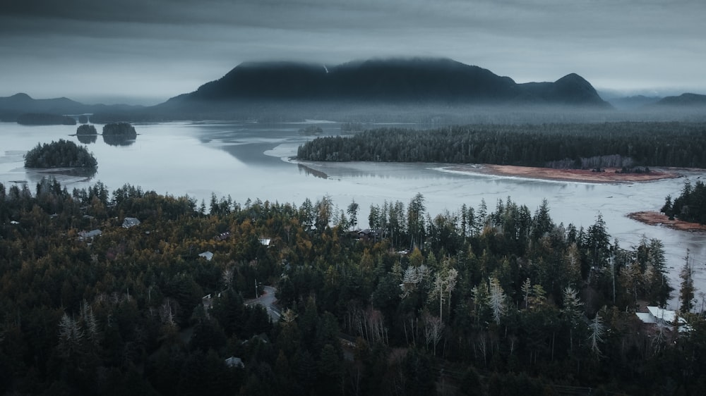 a large body of water surrounded by forest