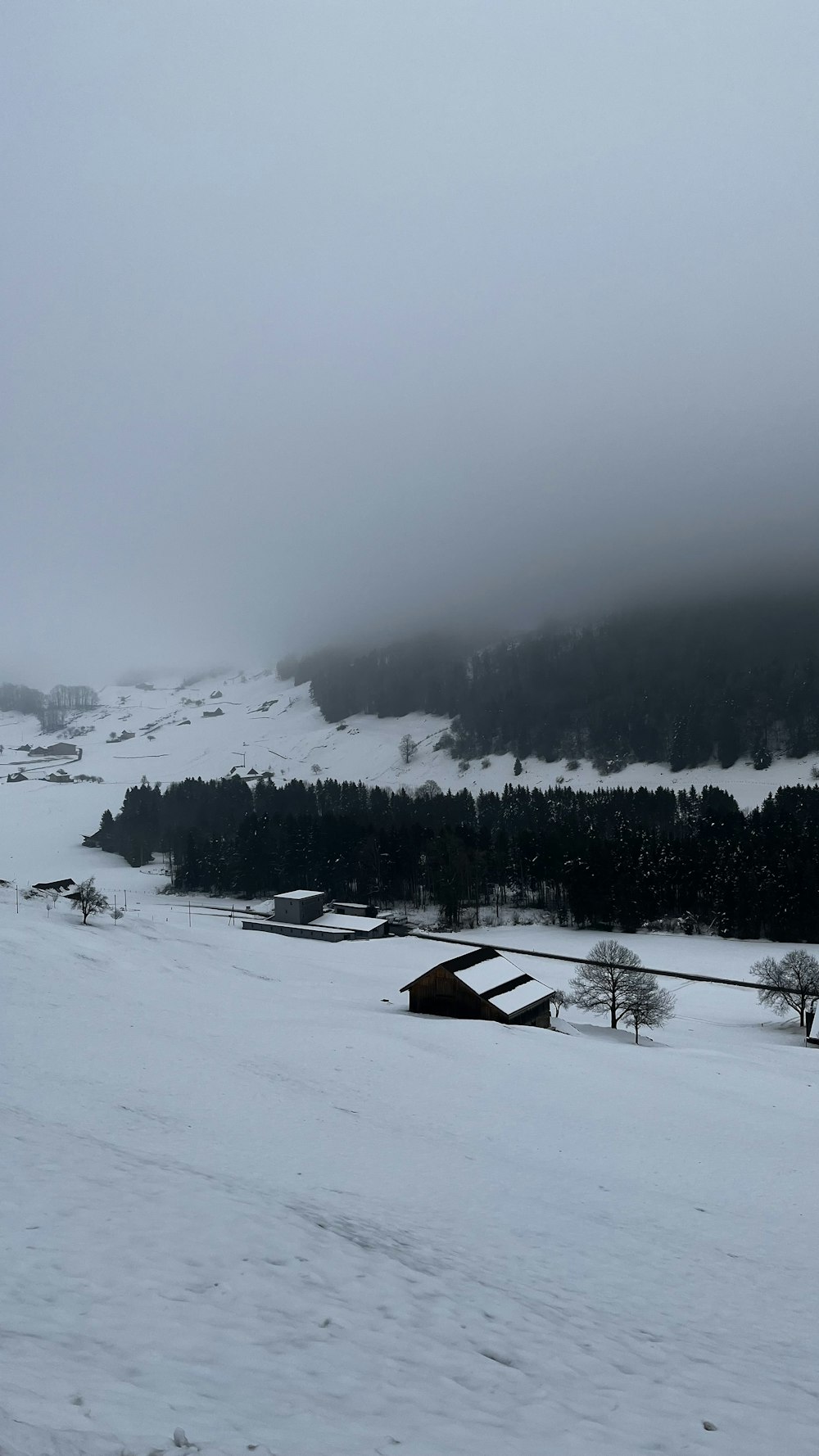 a snowy landscape with a mountain in the background