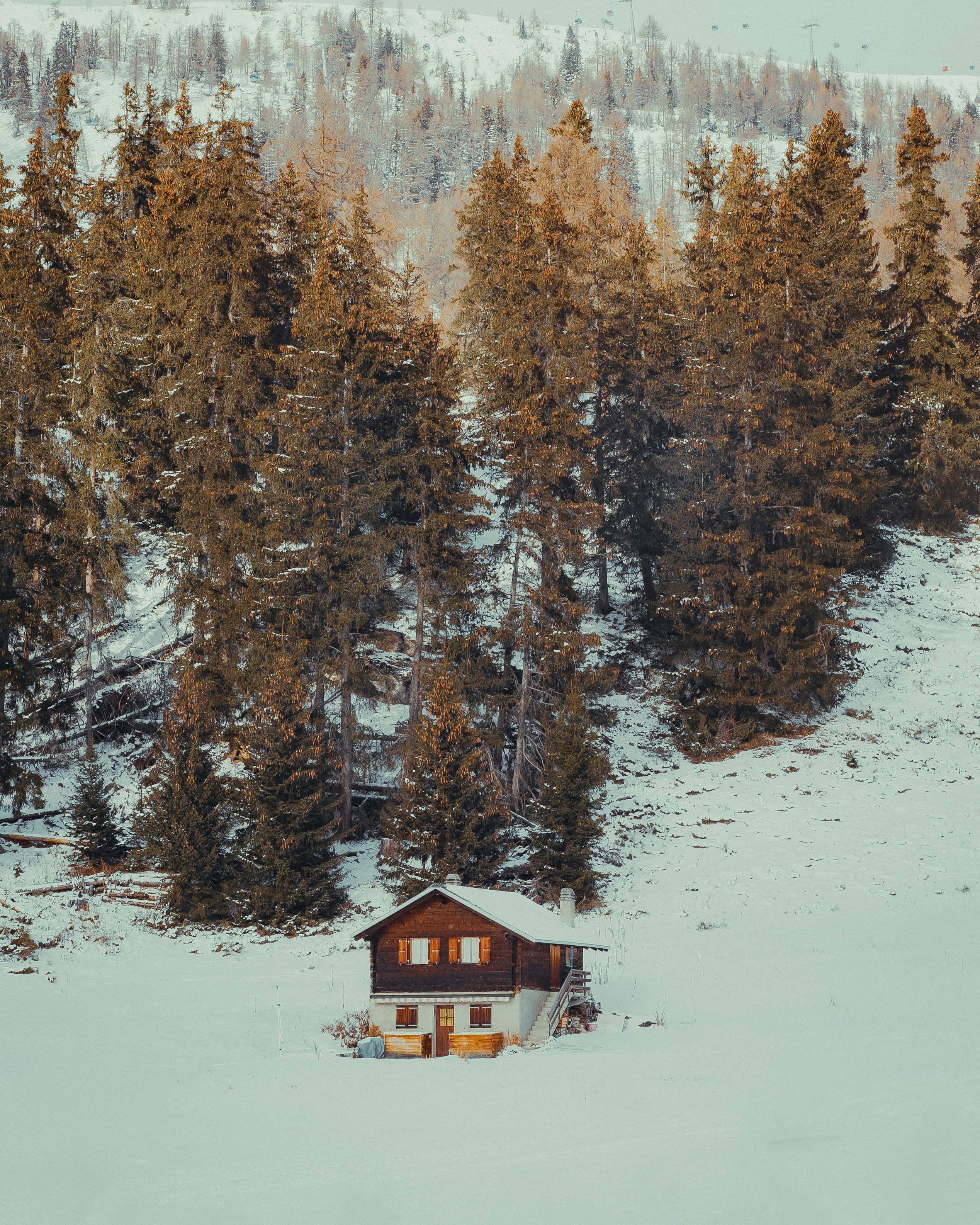a cabin in the middle of a snowy forest
